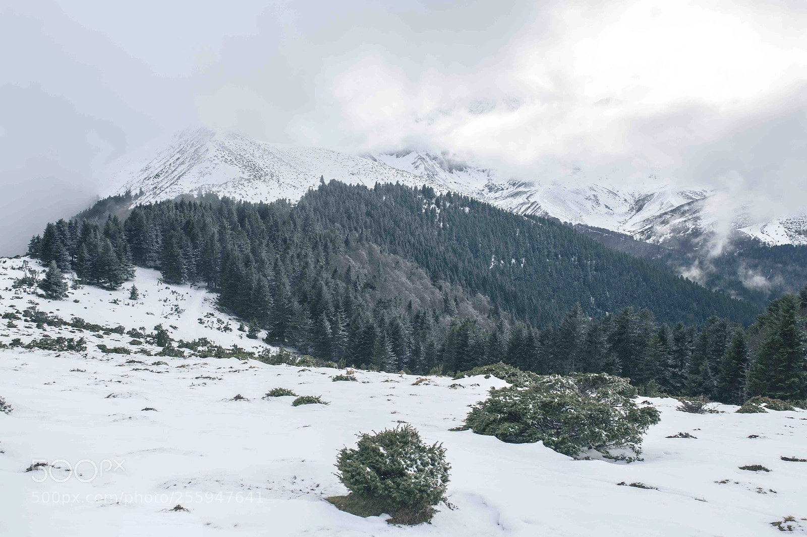 Canon EOS 6D sample photo. Crêtes d'aspin photography