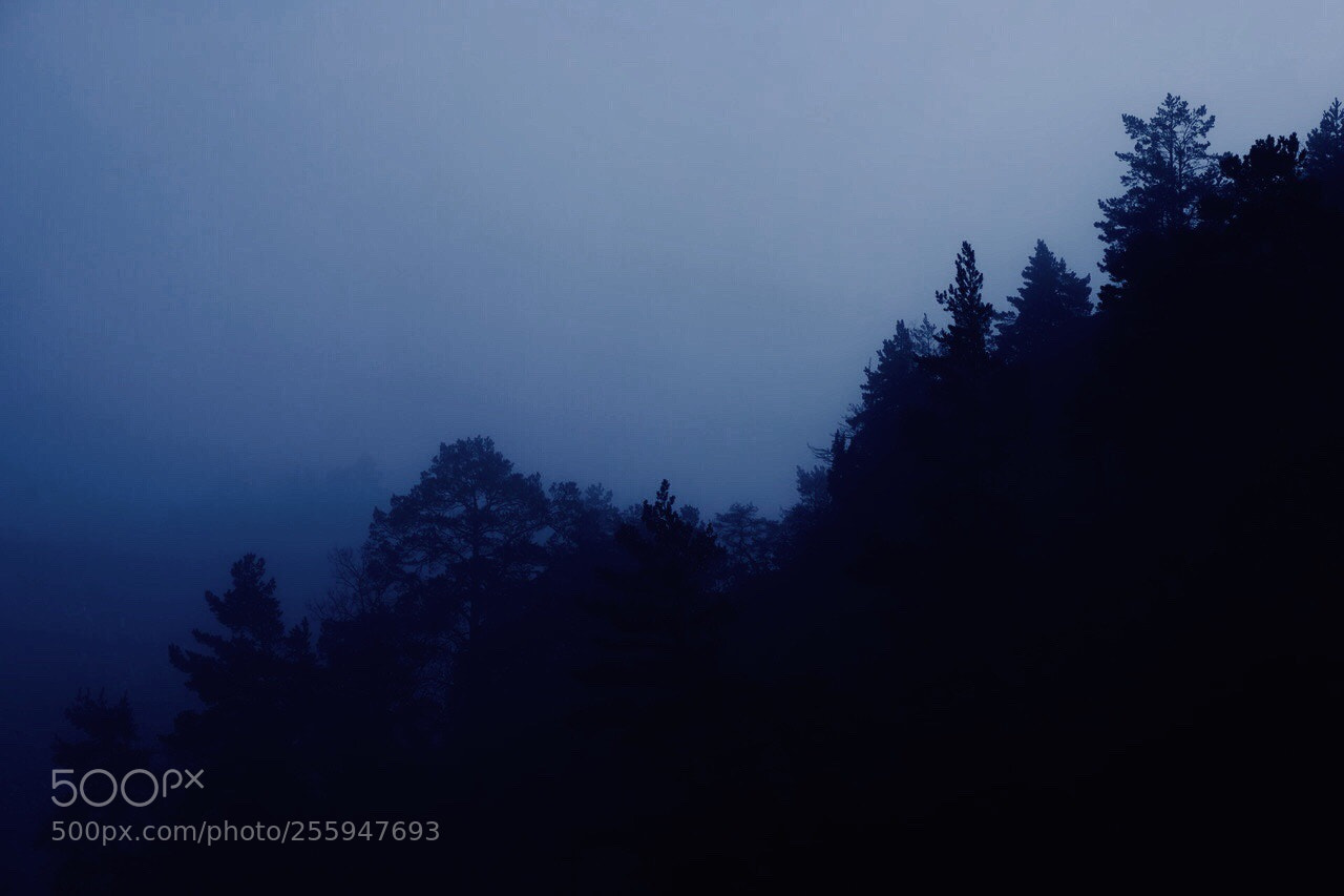 Fujifilm X-T2 sample photo. Morning fog photography