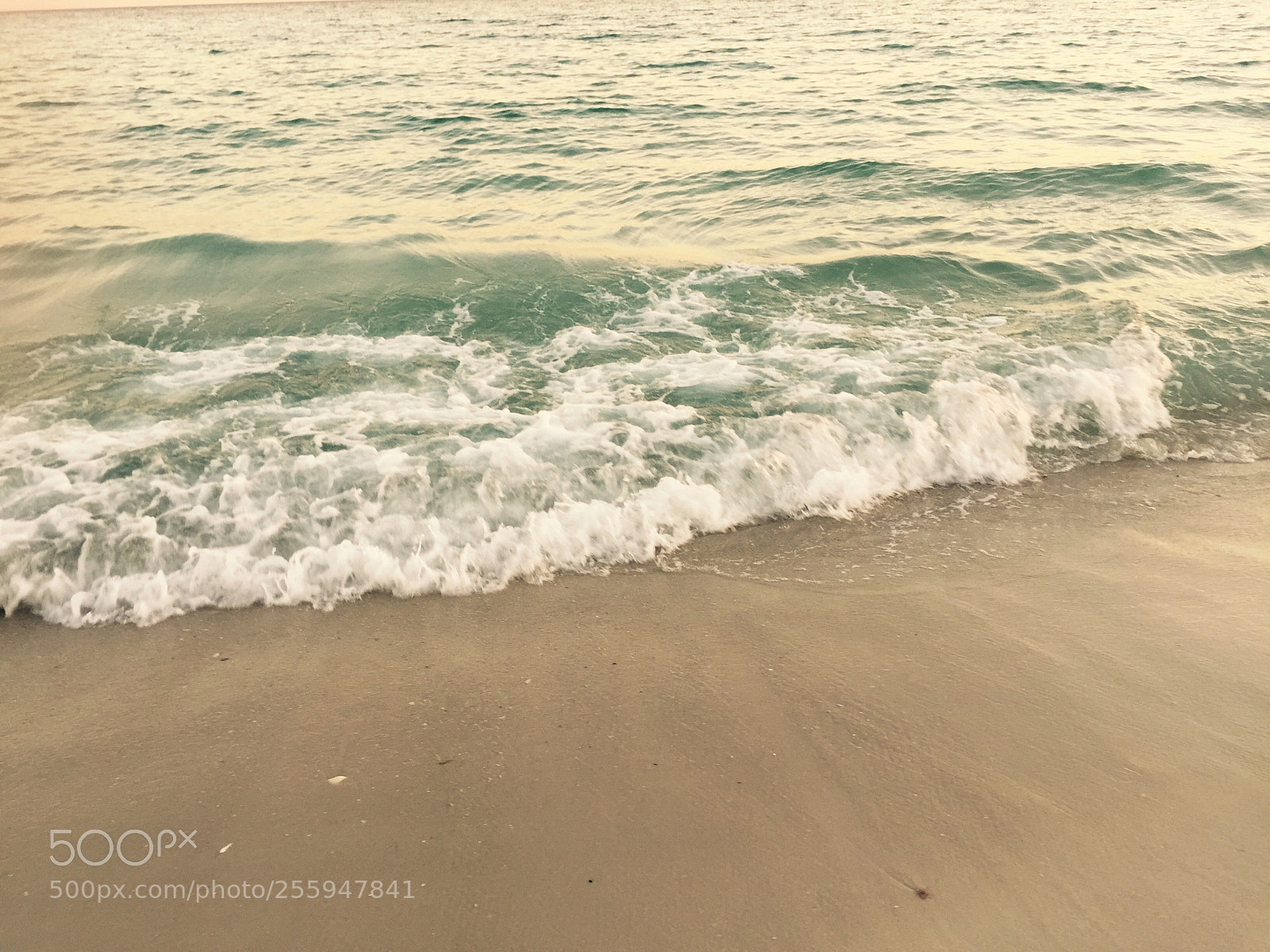 Apple iPhone 6 sample photo. Beach, sunset, capturing moments photography