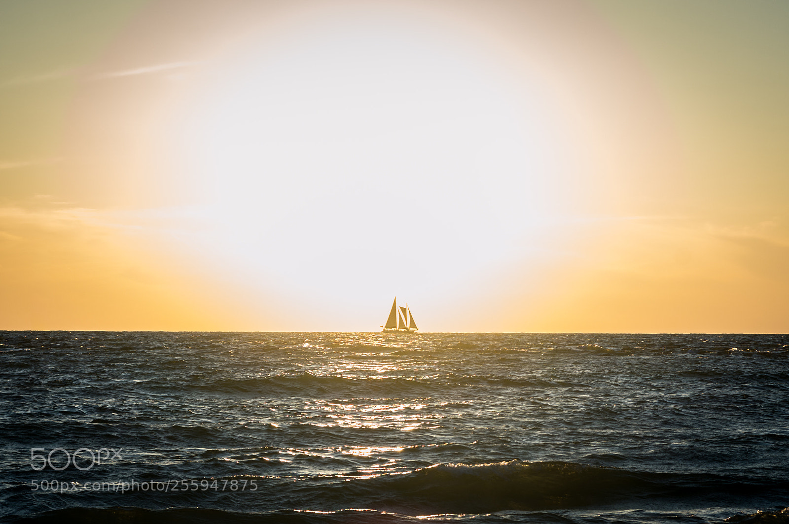 Nikon D3200 sample photo. Sailboat sunset on clearwater photography