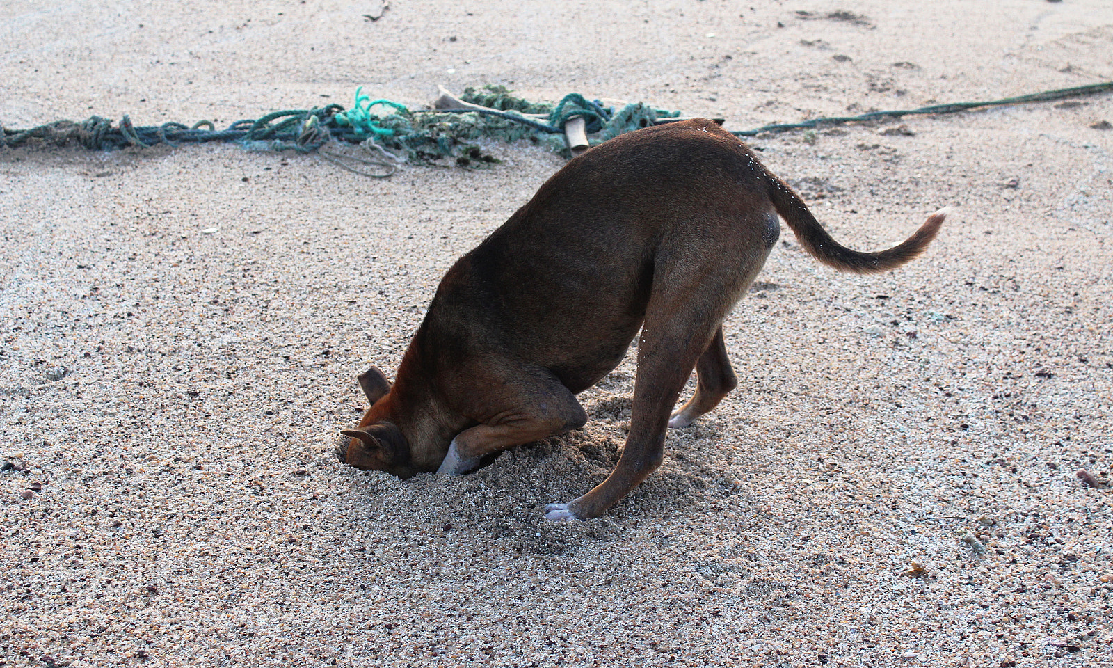 Canon EOS 1300D (EOS Rebel T6 / EOS Kiss X80) sample photo. Now you don't see photography