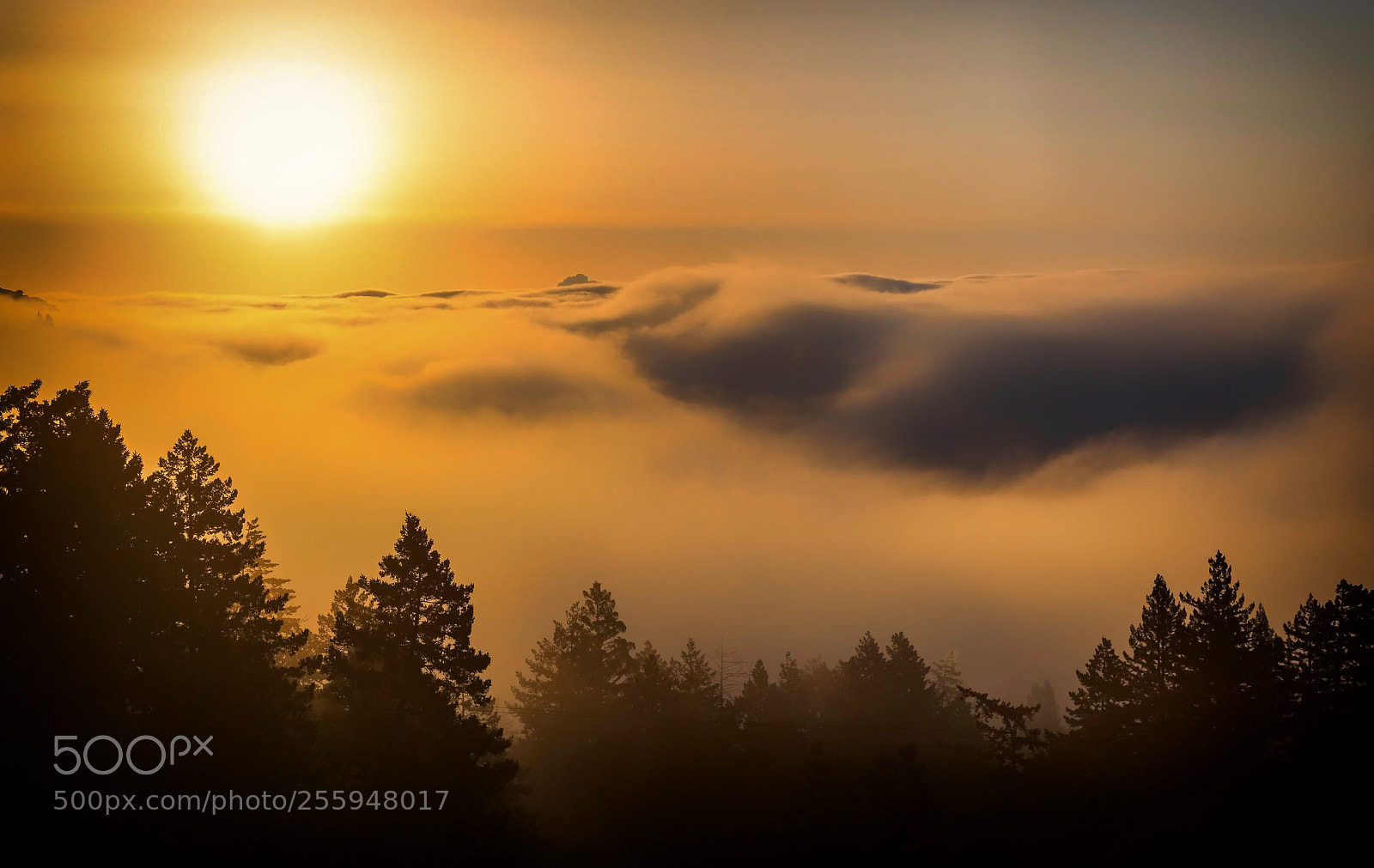 Canon EOS 6D sample photo. "foggy days" photography
