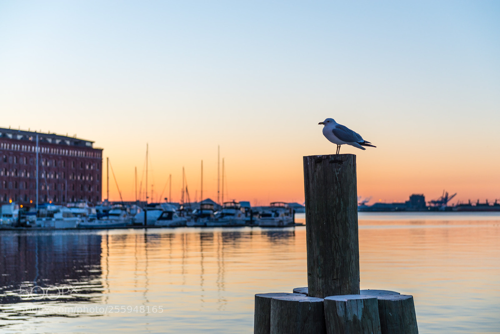 Nikon D800 sample photo. Awaiting sunrise photography
