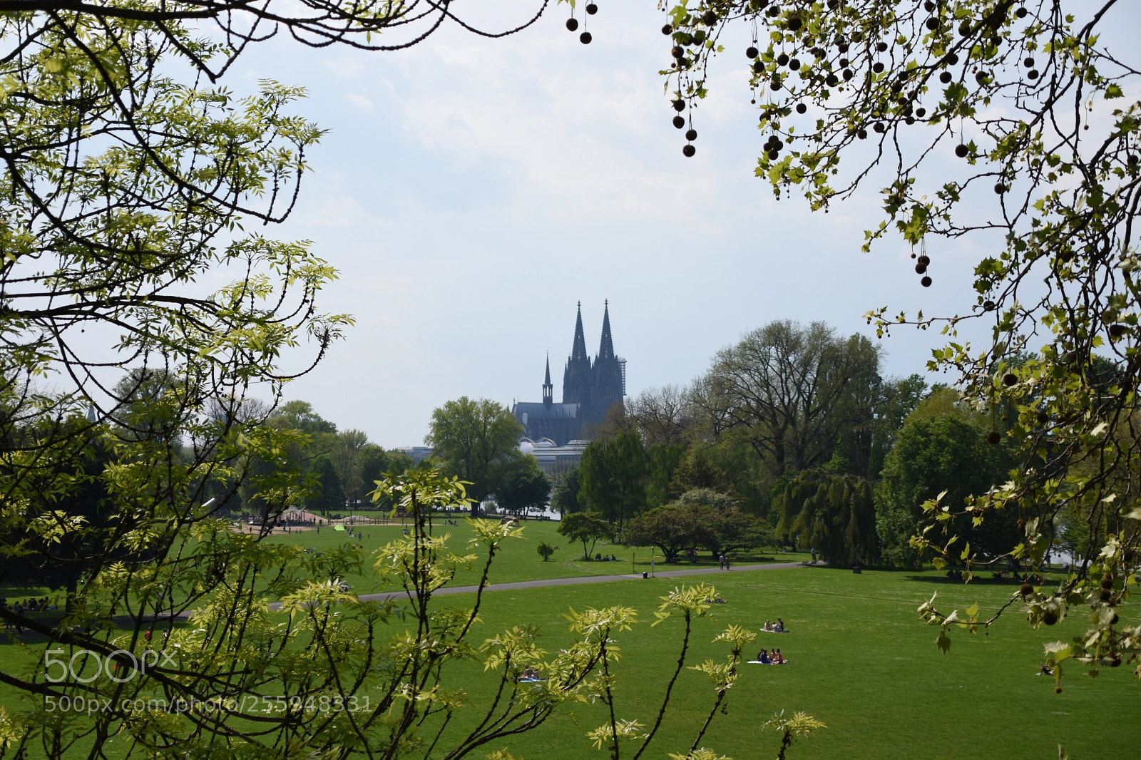 Nikon D3400 sample photo. Kölner dom photography