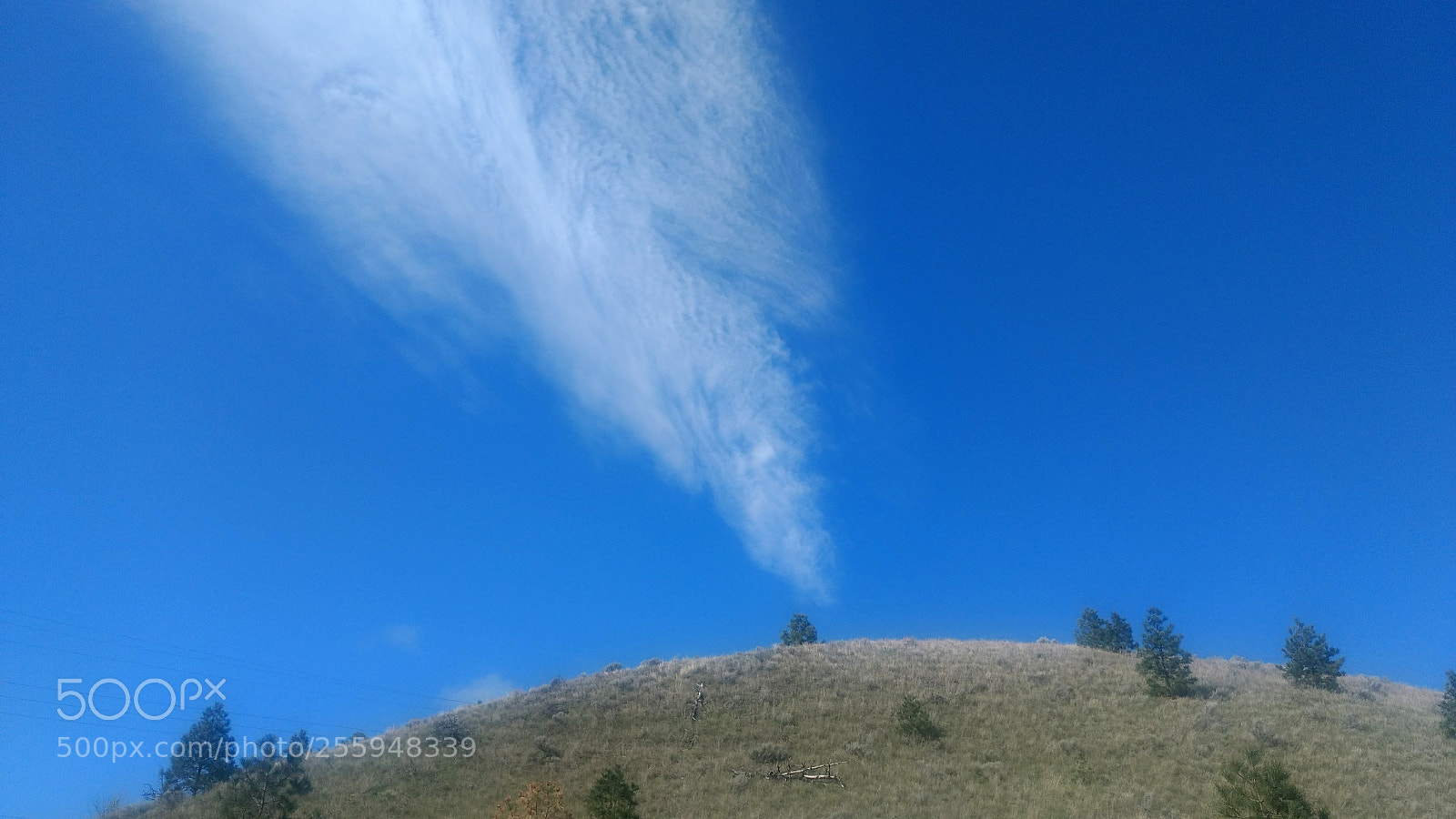 Motorola Moto G (4) sample photo. The arrow photography