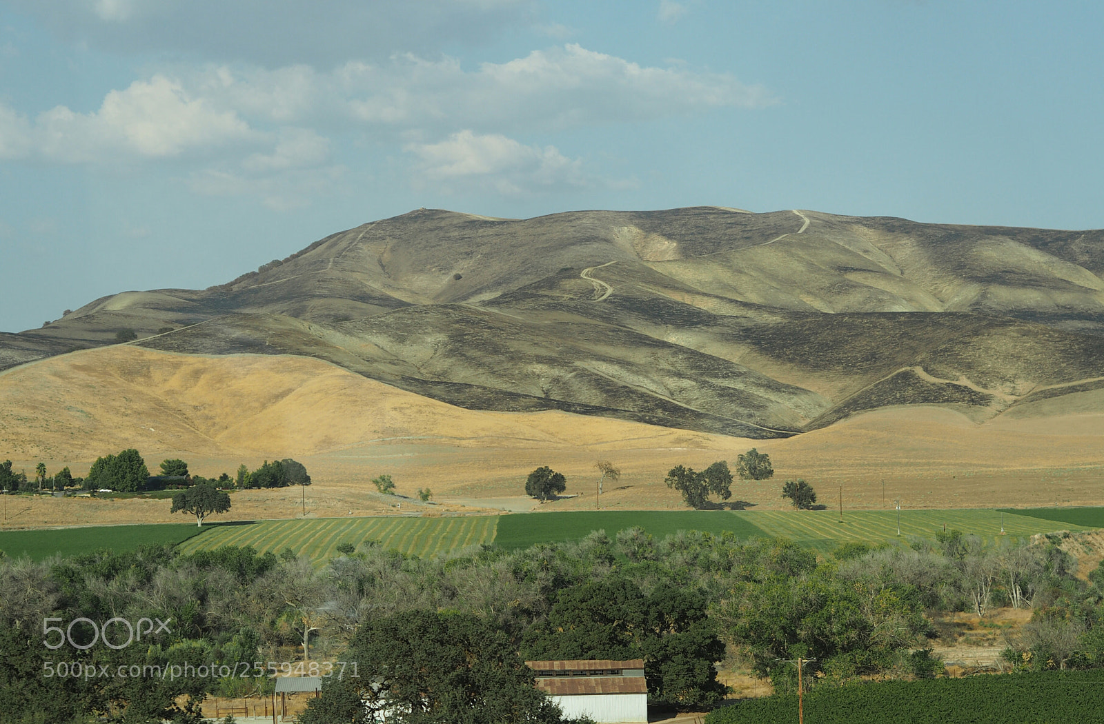 Olympus PEN E-PL7 sample photo. California photography