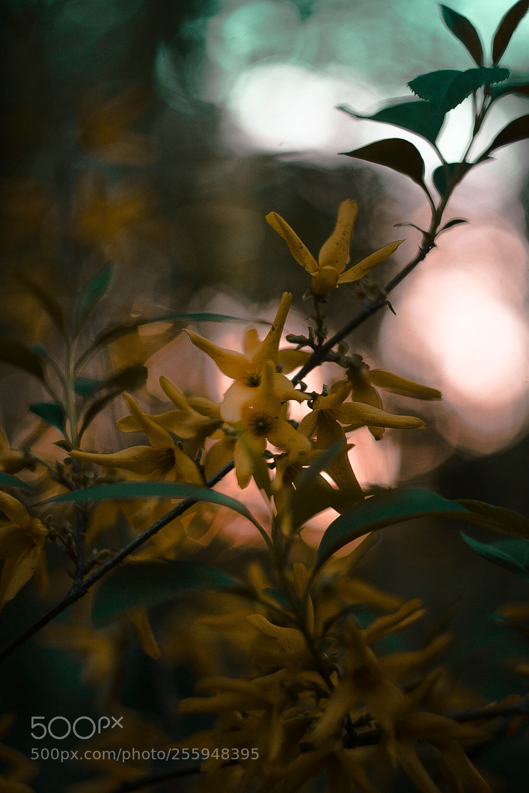 Canon EOS-1D Mark II N sample photo. Img photography