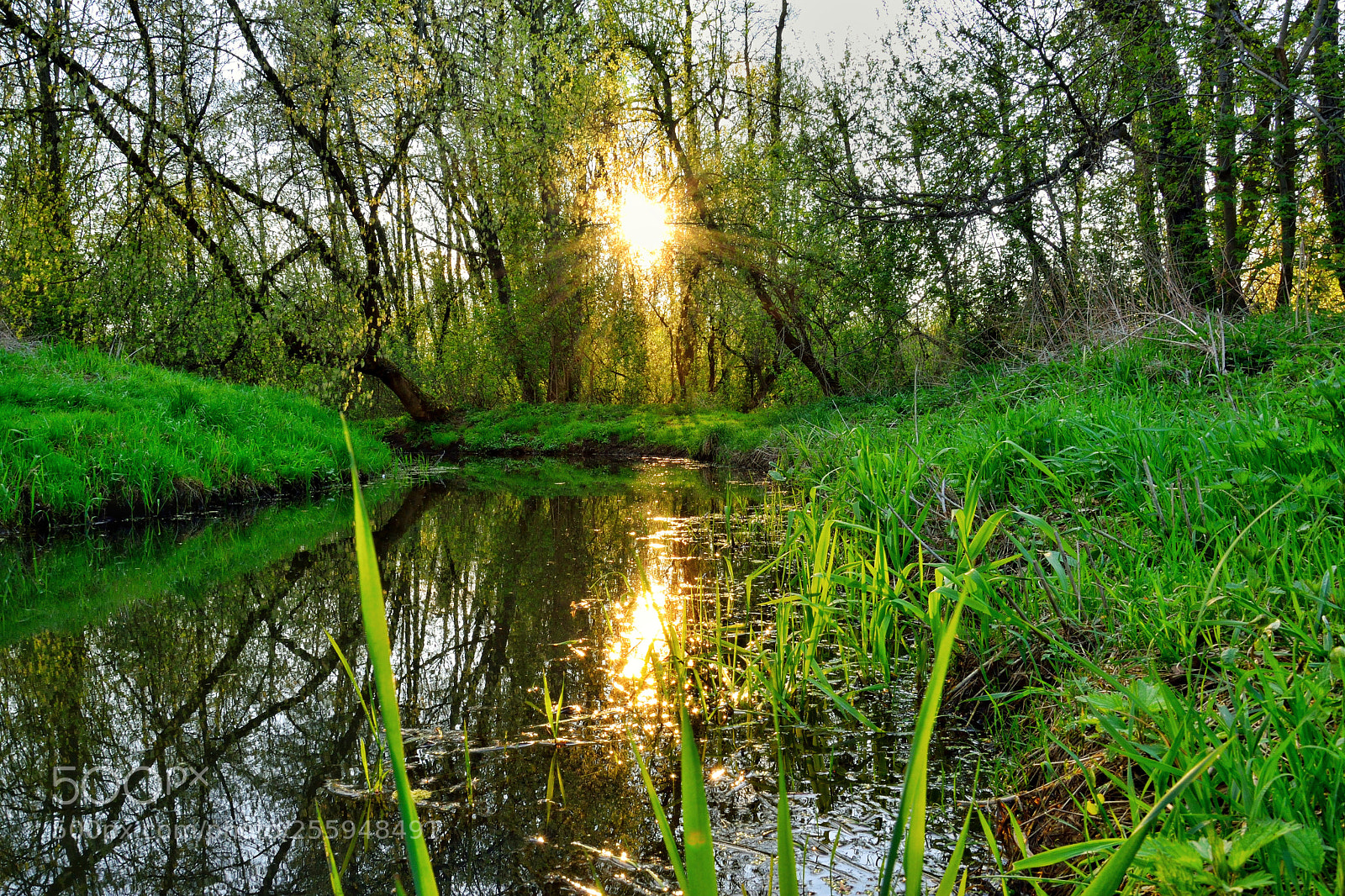 Nikon D3300 sample photo. Sunset photography
