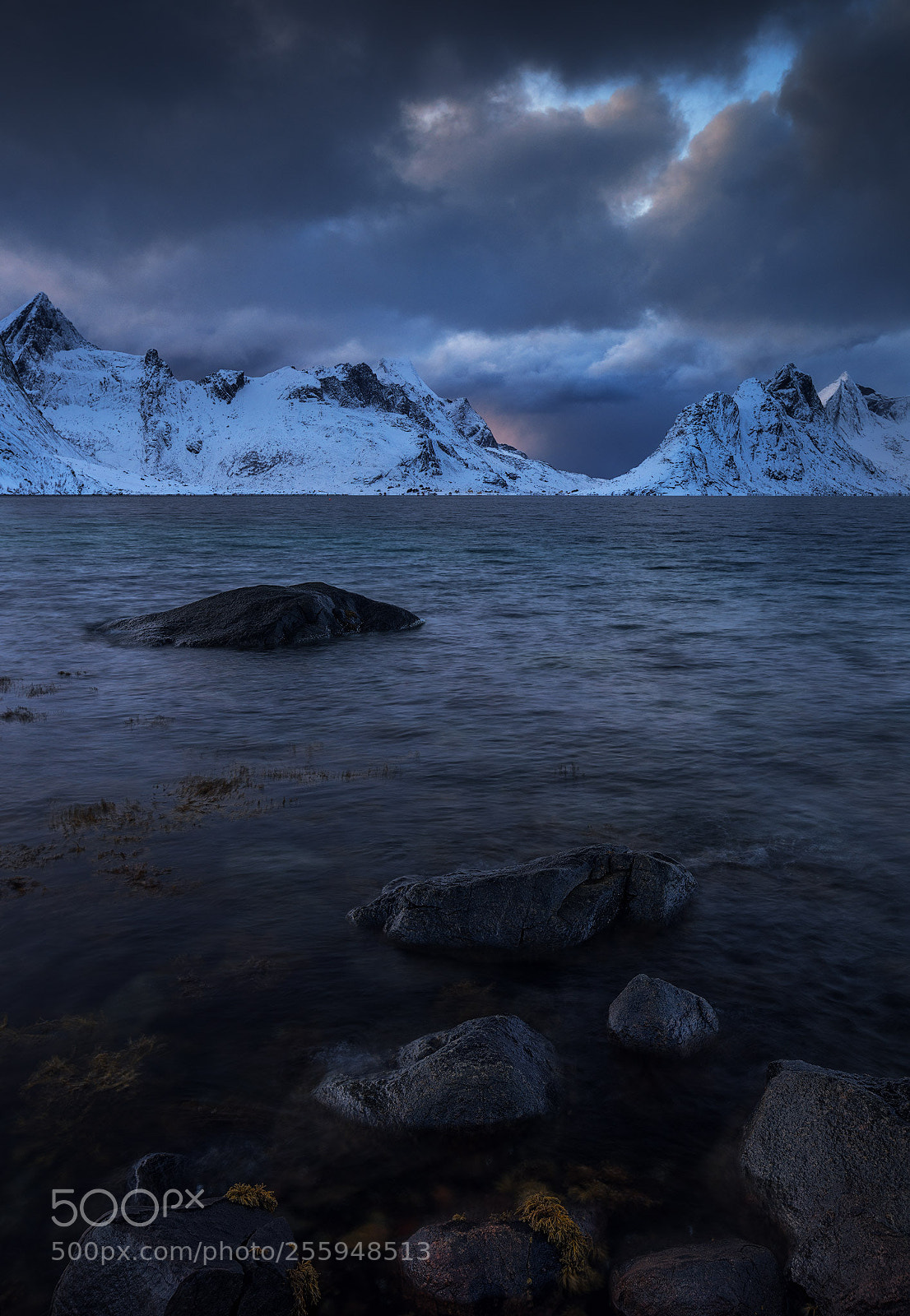 Canon EOS 5D Mark IV sample photo. Arctic spring photography