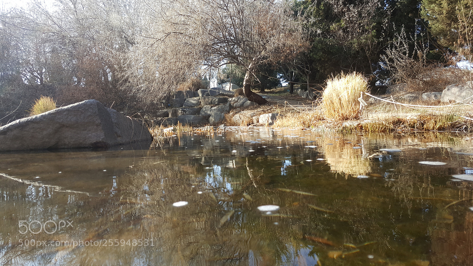 Samsung GALAXY S6 edge sample photo. 20161209_103237.jpg photography