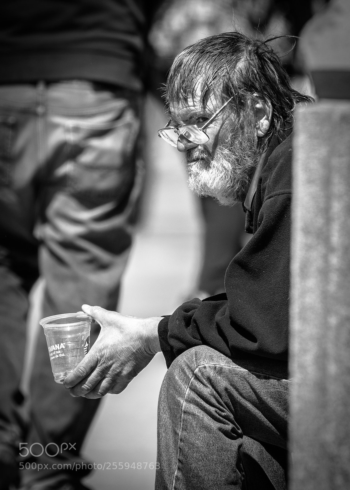 Canon EOS 5D Mark IV sample photo. Down, but not out.  photography