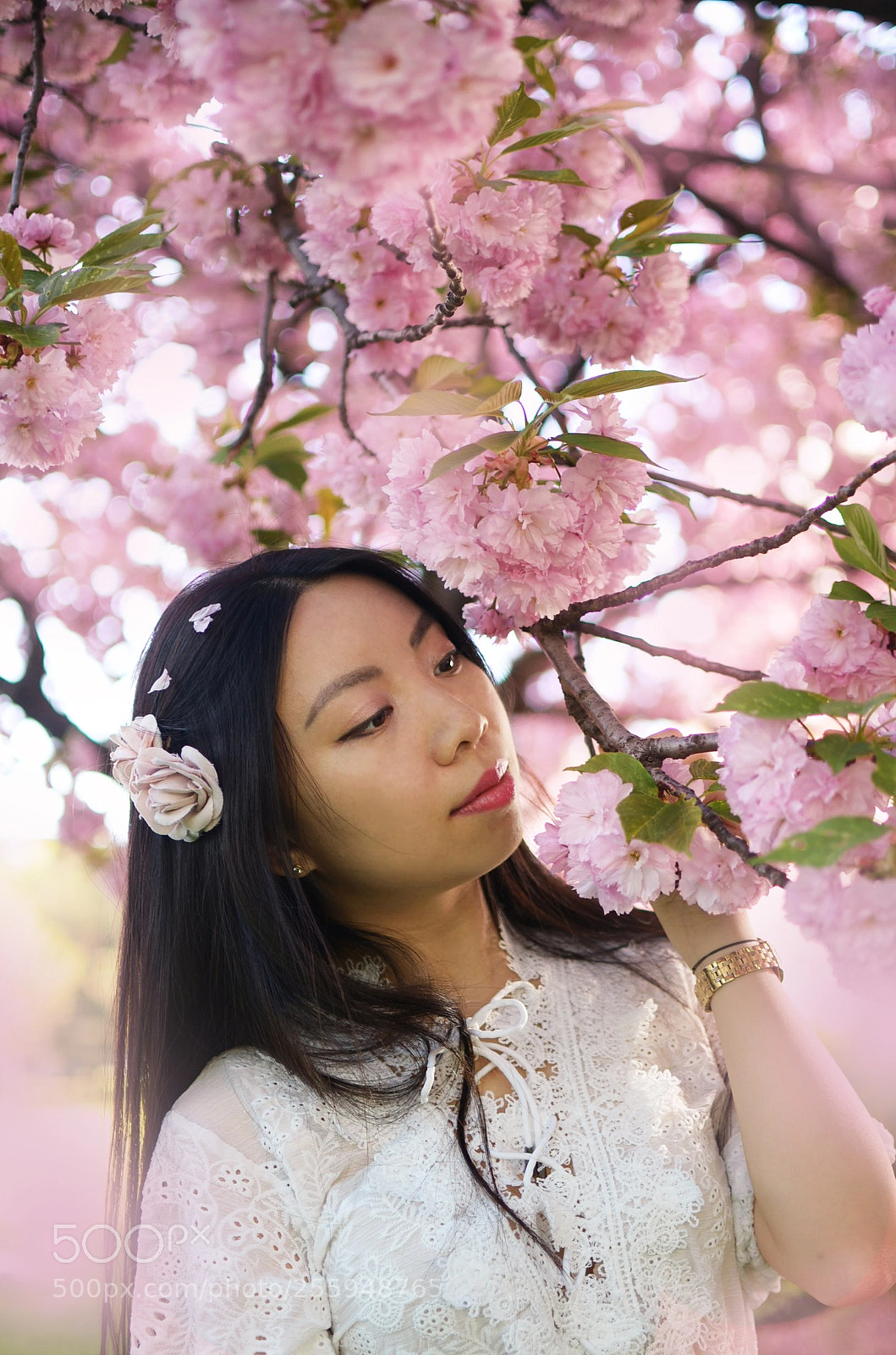 Nikon D7000 sample photo. Spring beauty photography