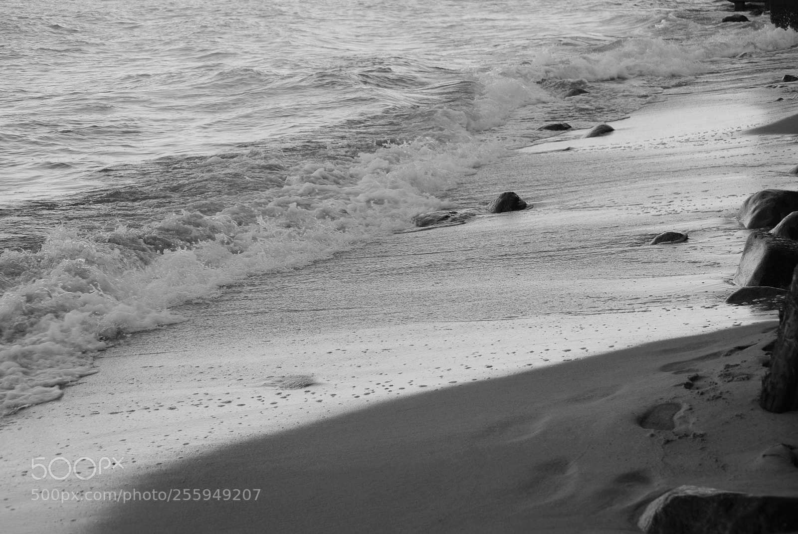 Nikon D60 sample photo. Relax photography
