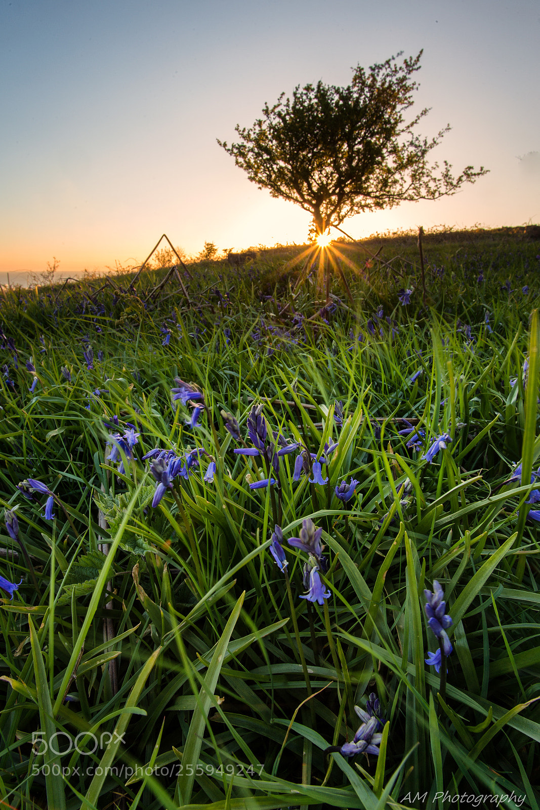 Canon EOS 6D sample photo. Edit edit photography