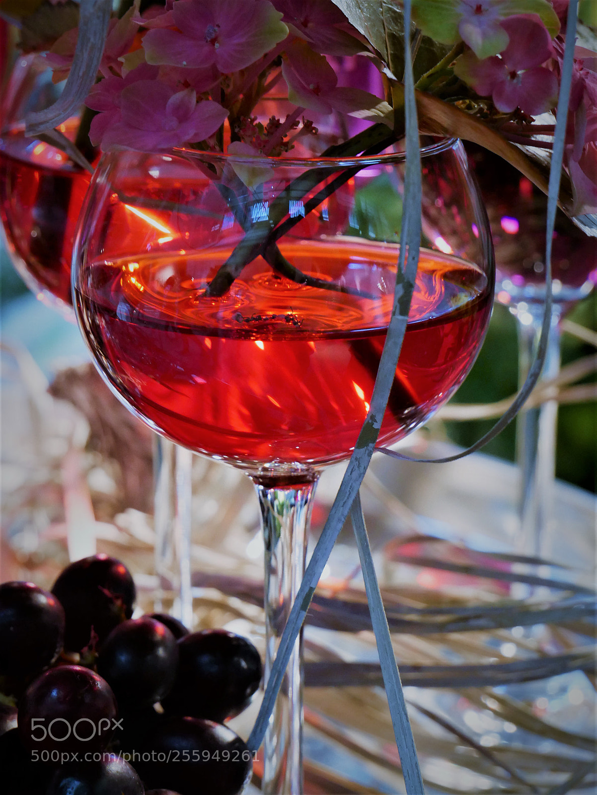 Panasonic DMC-G81 sample photo. Wine and flowers photography