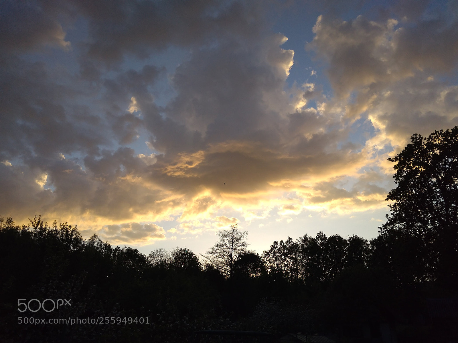 Xiaomi Redmi 4A sample photo. Golden hour photography