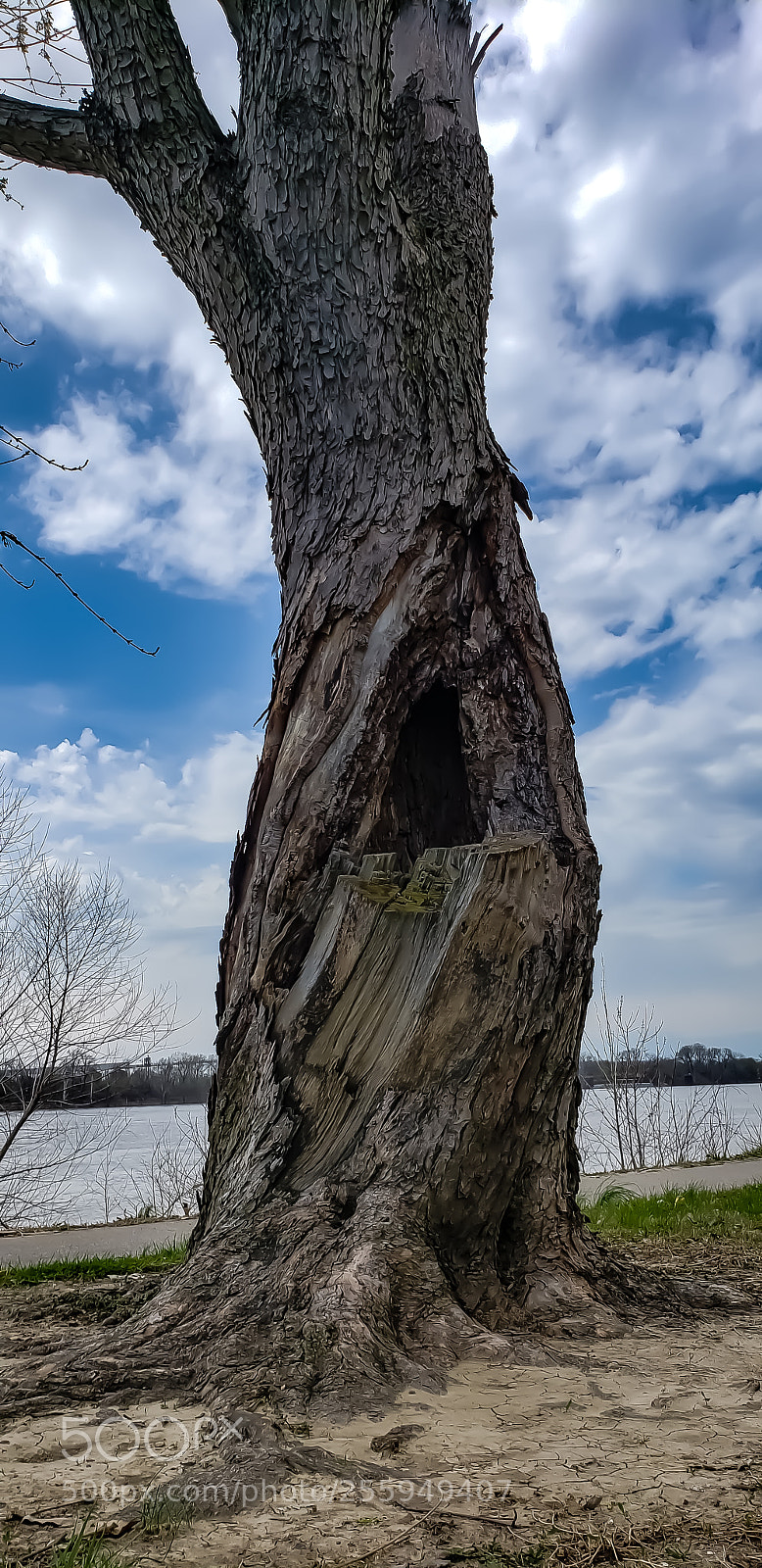 Samsung Galaxy S9+ sample photo. Untitled photography