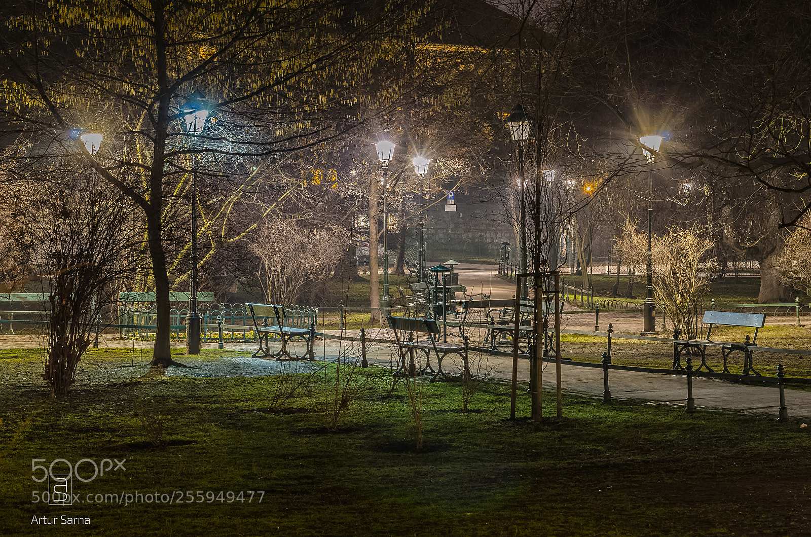 Nikon D5100 sample photo. Krakowskie planty nocą. photography