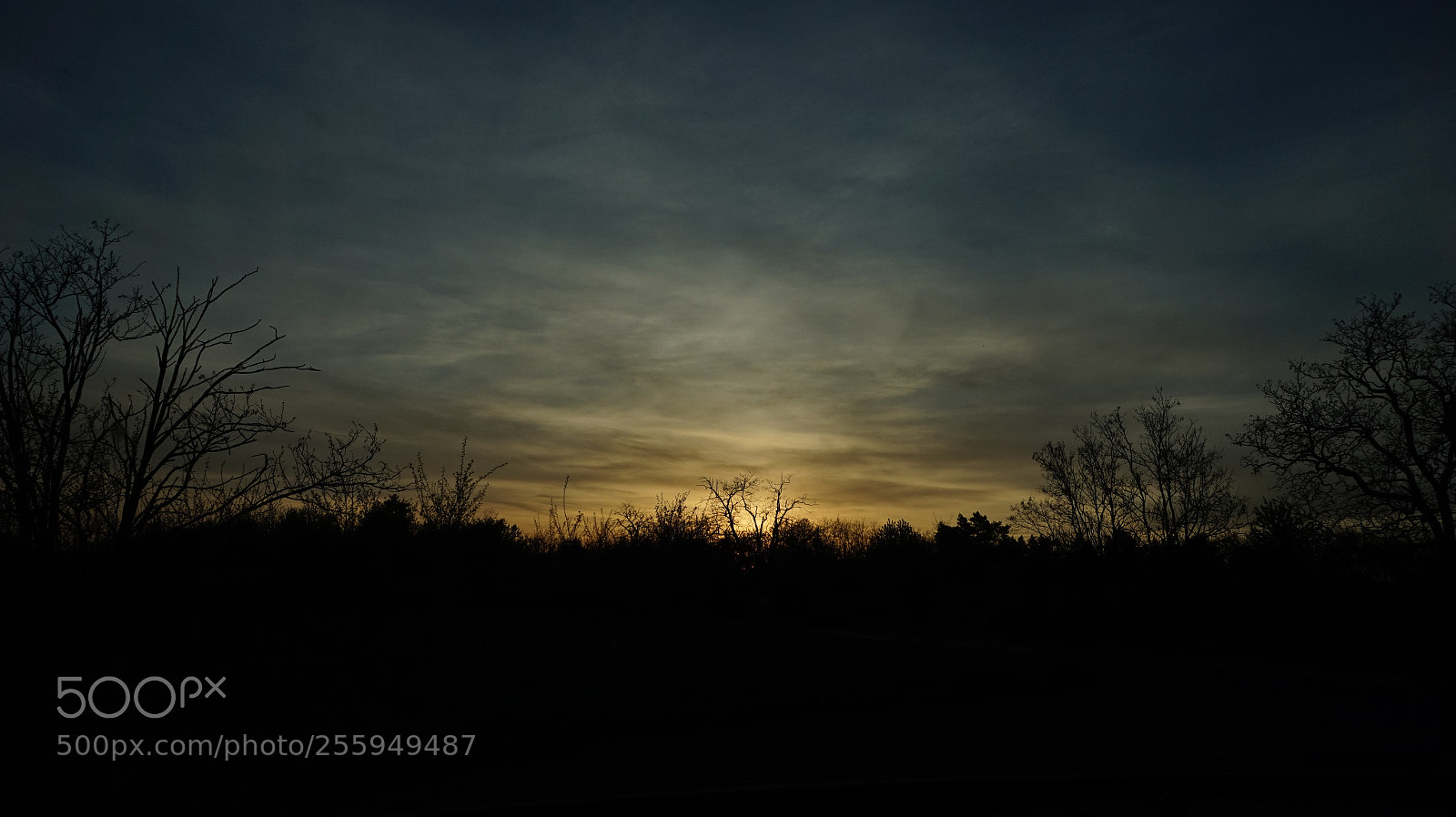Sony Alpha a5000 (ILCE 5000) sample photo. Sunset photography