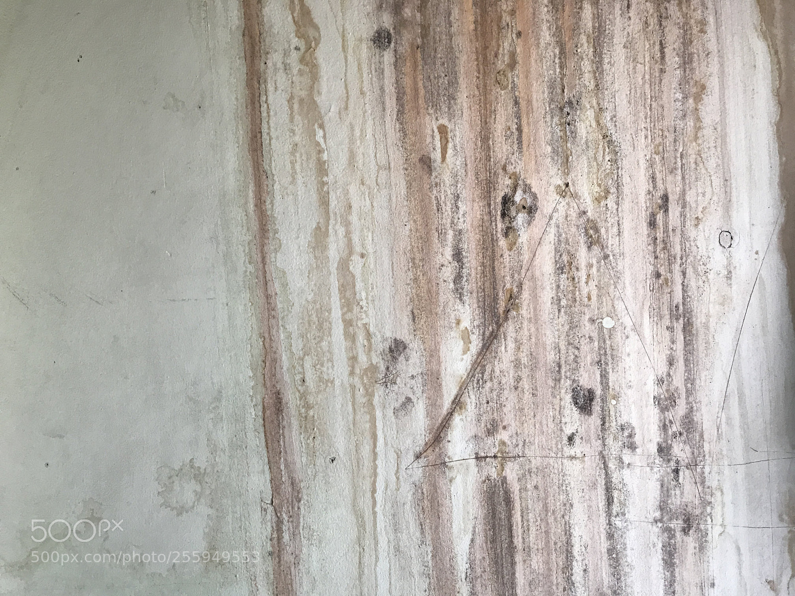 Apple iPhone 7 Plus sample photo. Seeing texture photography