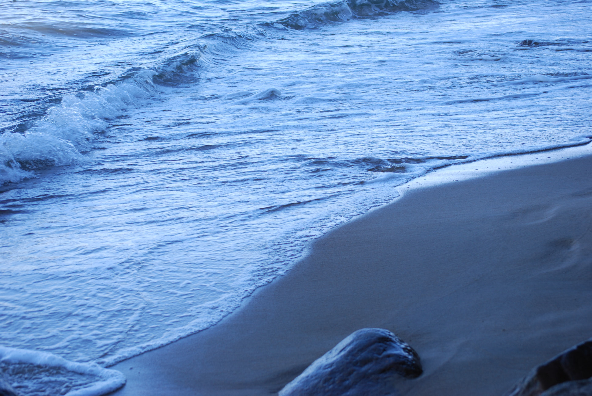 Nikon D60 sample photo. Total blue photography
