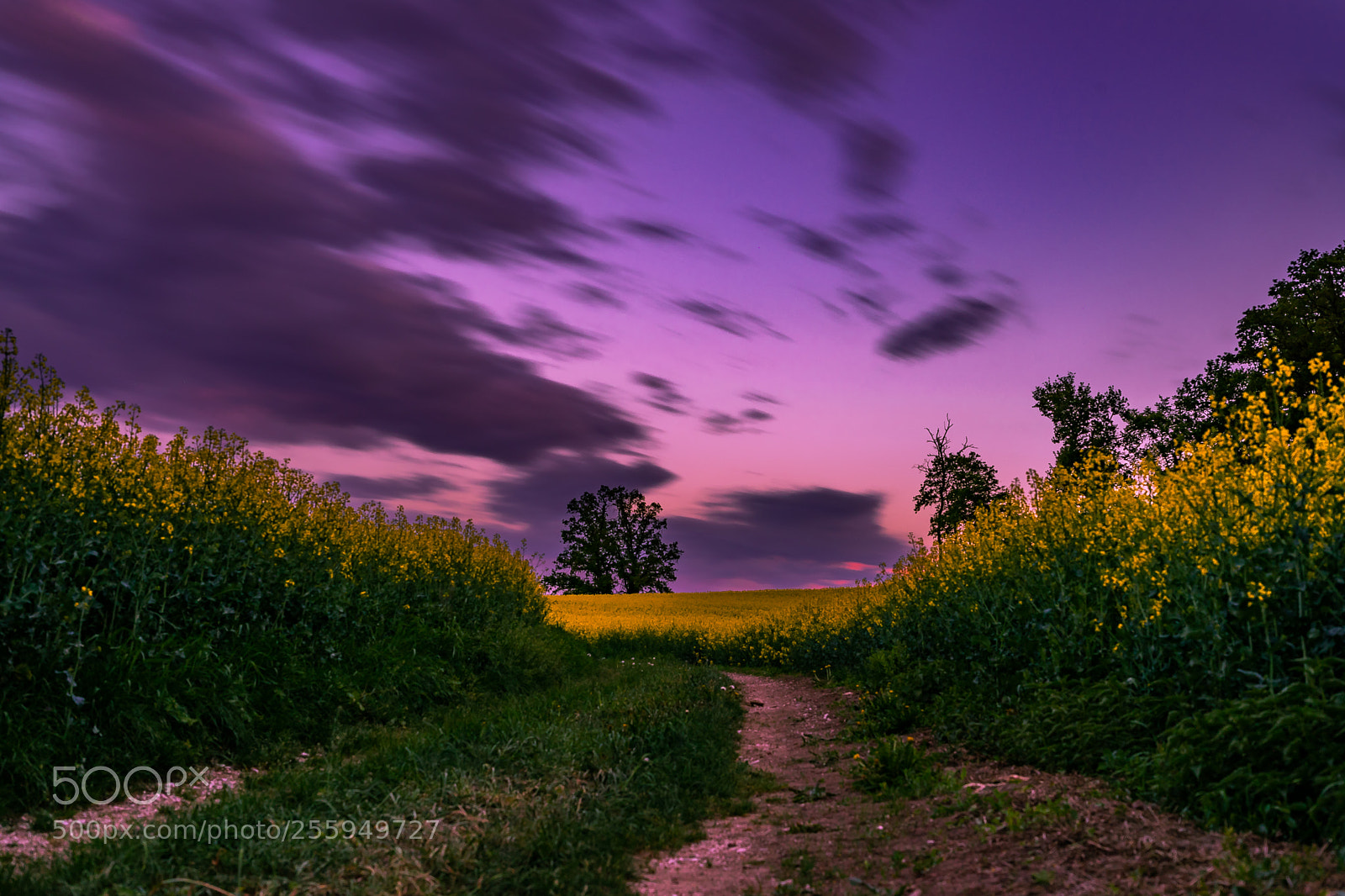 Sony a7 sample photo. In the fields of photography