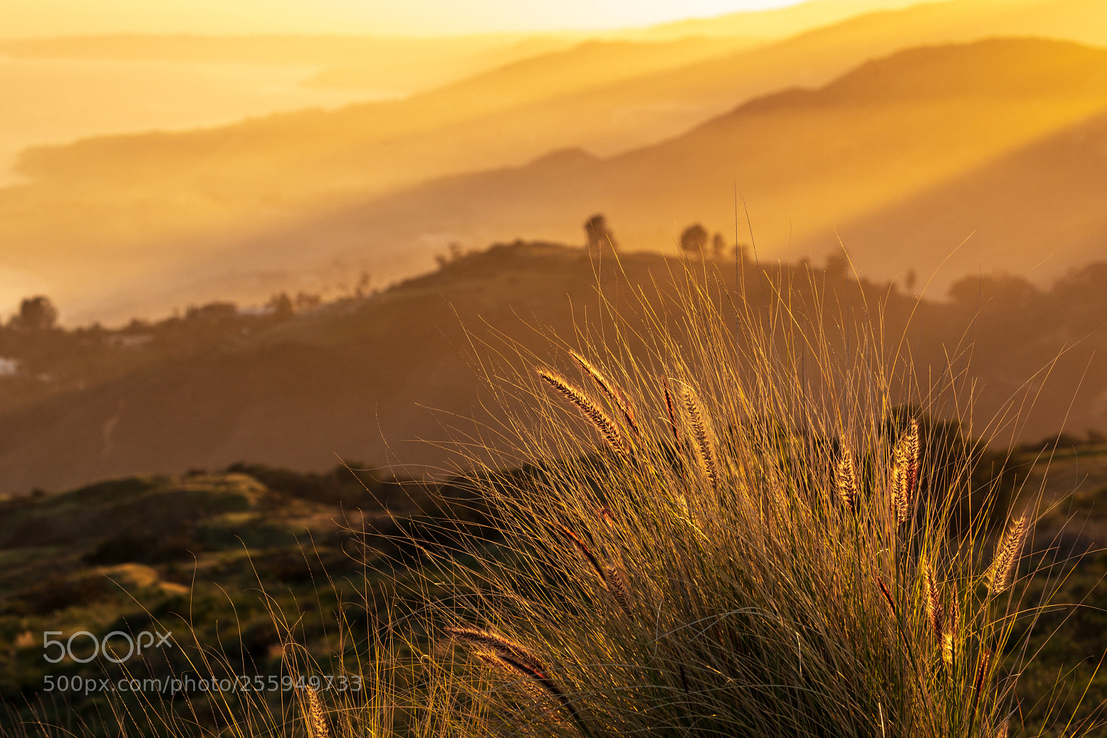 Canon EOS 5D Mark IV sample photo. The gold coast photography