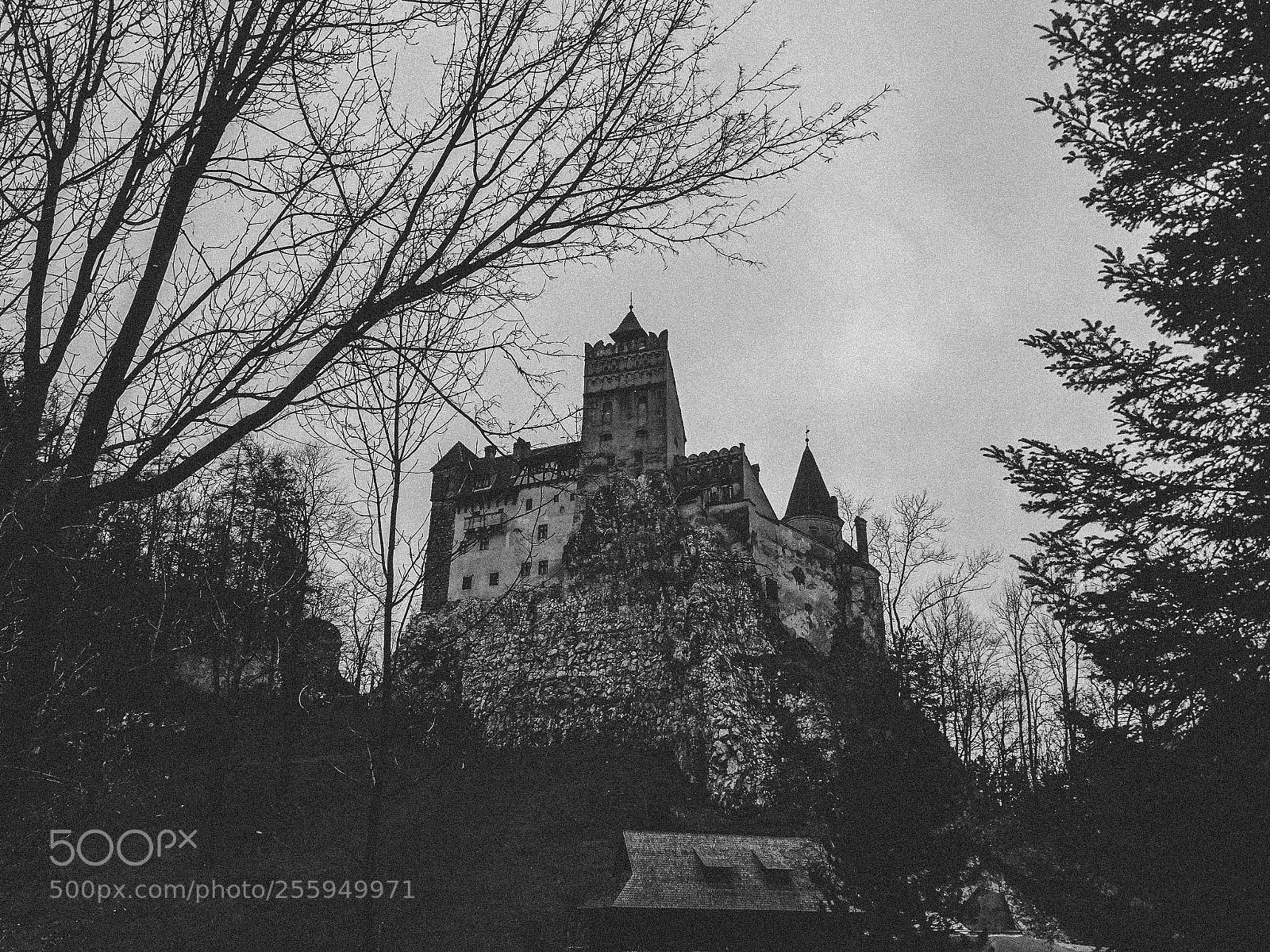 Sony Cyber-shot DSC-HX300 sample photo. Bran castle dracula castle photography
