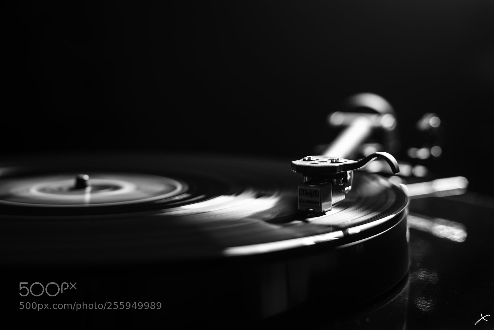Nikon D800 sample photo. Chill sound photography