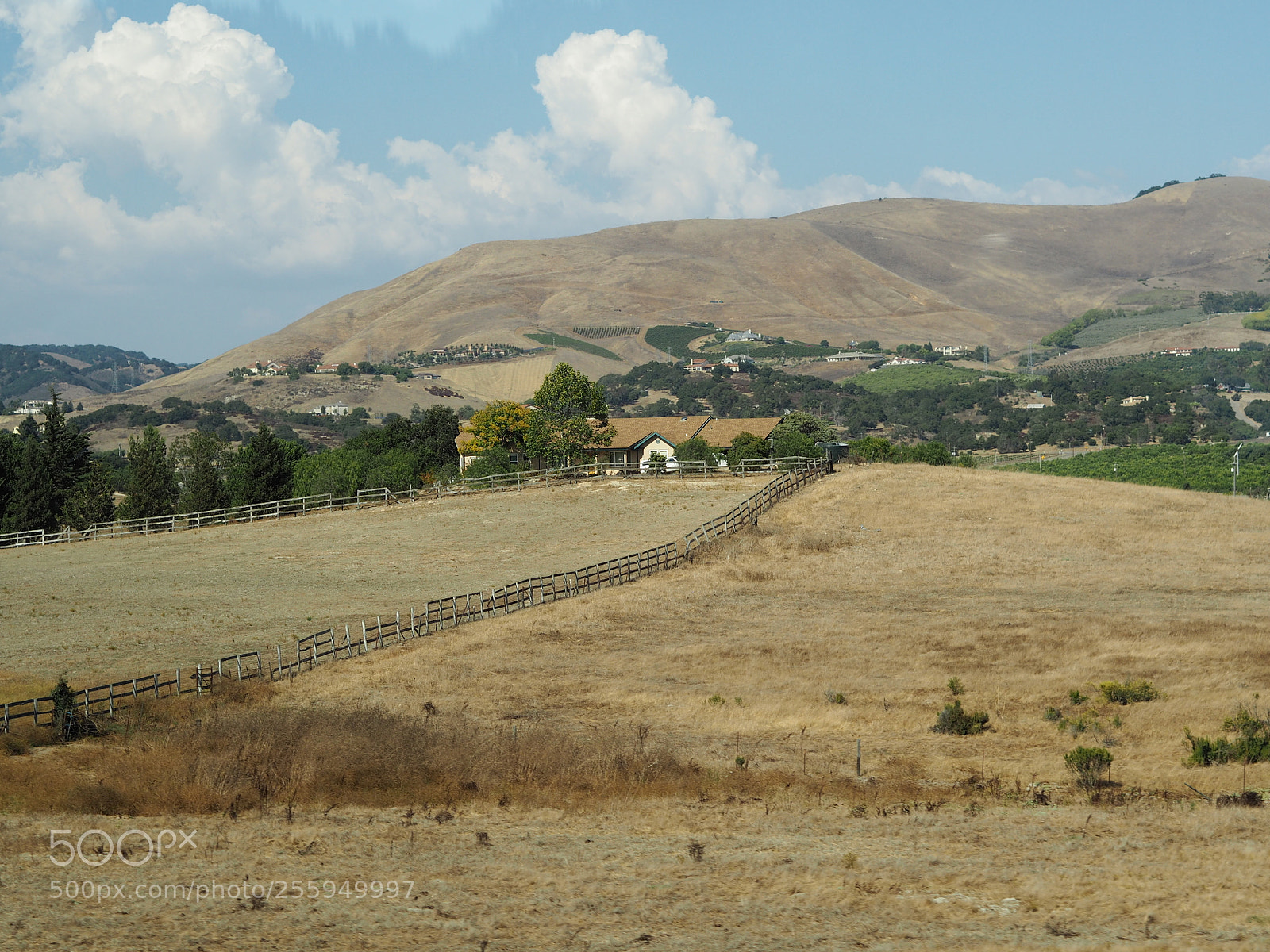 Olympus PEN E-PL7 sample photo. Farm photography