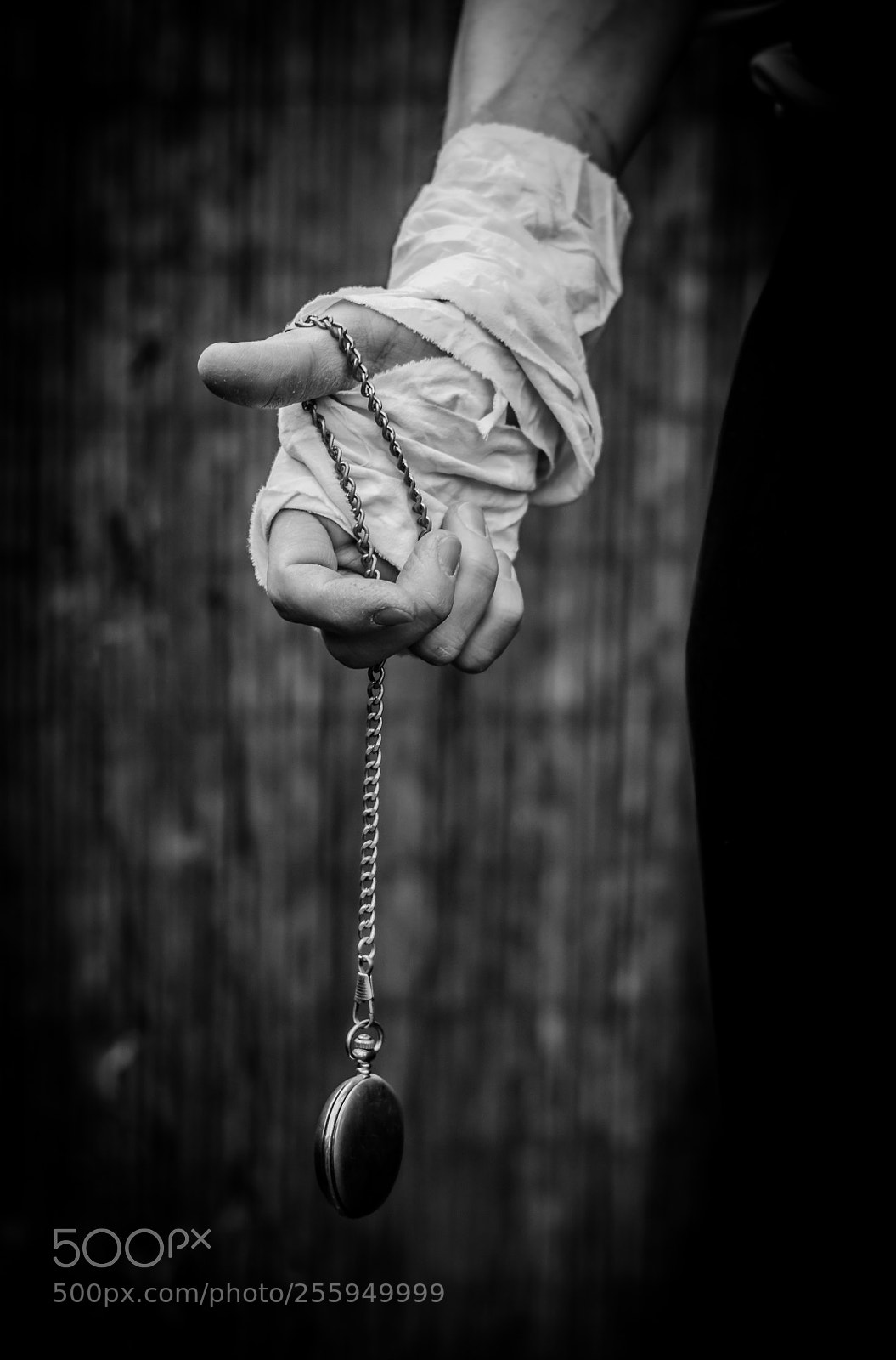 Nikon D5100 sample photo. Hrabia karmannyj wor photography