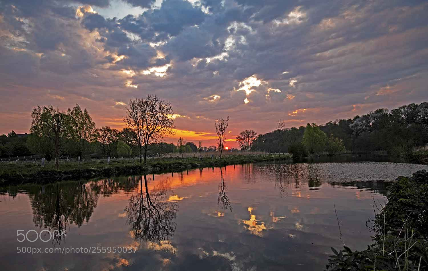 Canon EOS 5D Mark IV sample photo. Beautiful morning photography