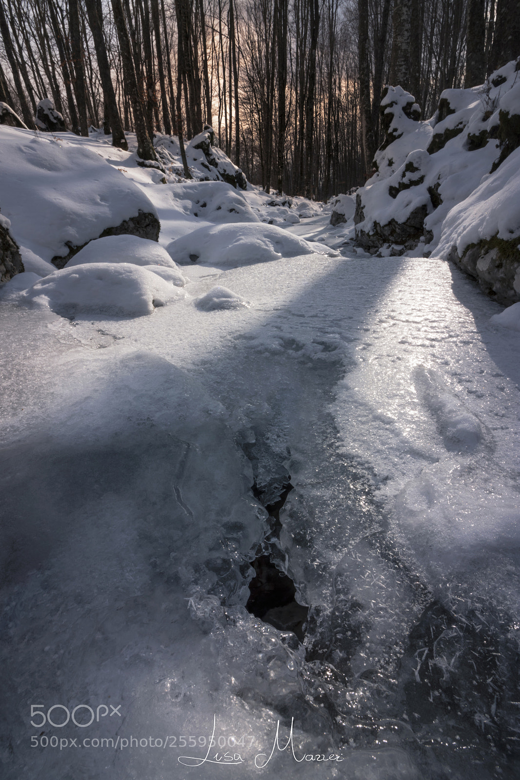 Canon EOS 750D (EOS Rebel T6i / EOS Kiss X8i) sample photo. Crack in the ice. photography