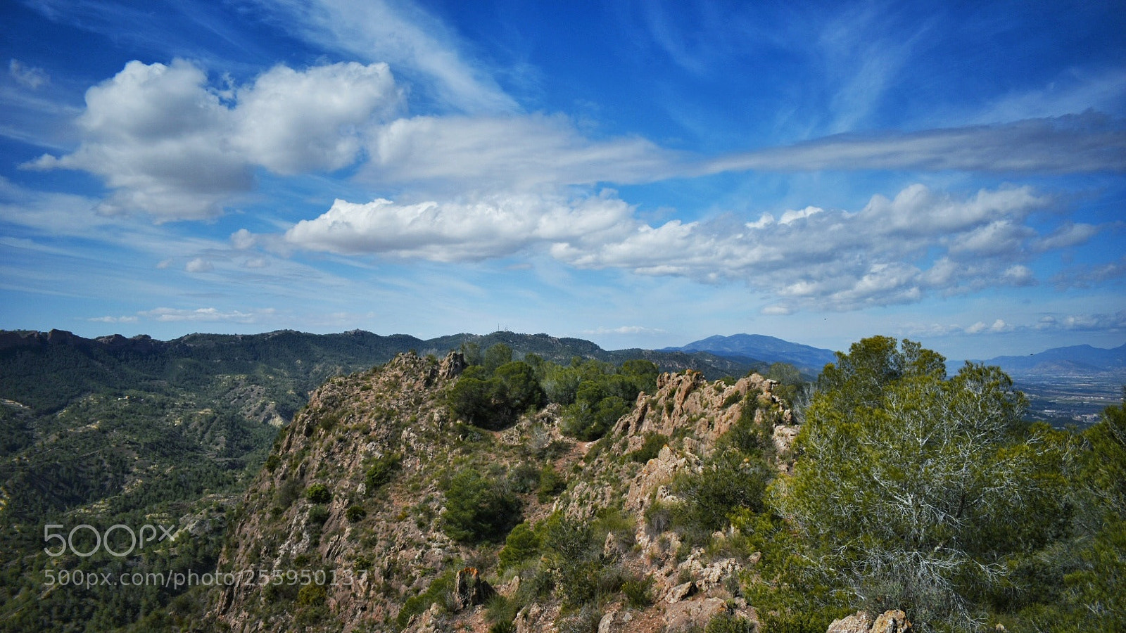 Nikon D5600 sample photo. Cresta del gallo... photography
