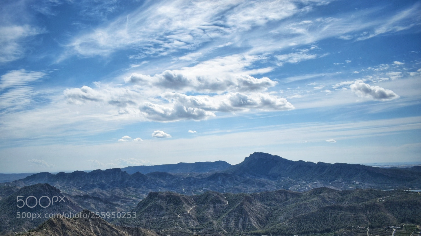 Nikon D5600 sample photo. Untitled photography