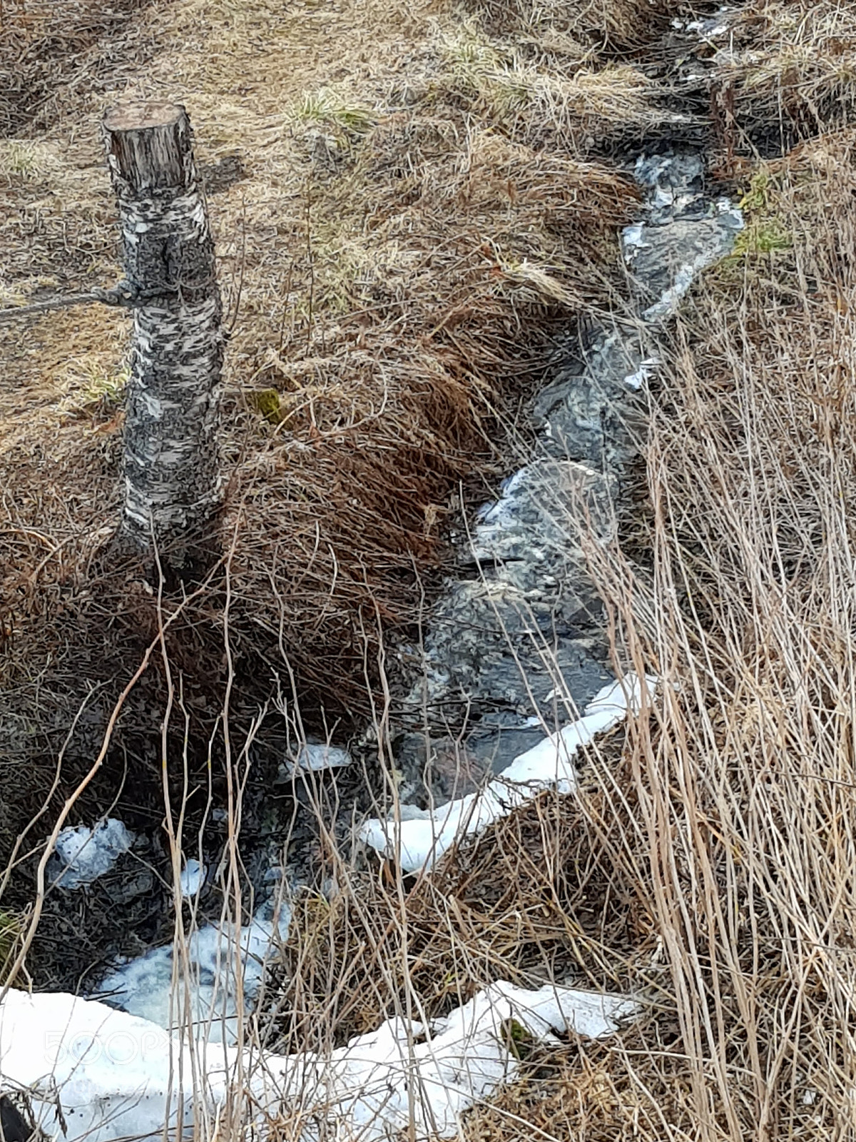 Samsung Galaxy S8 sample photo. A small creek photography