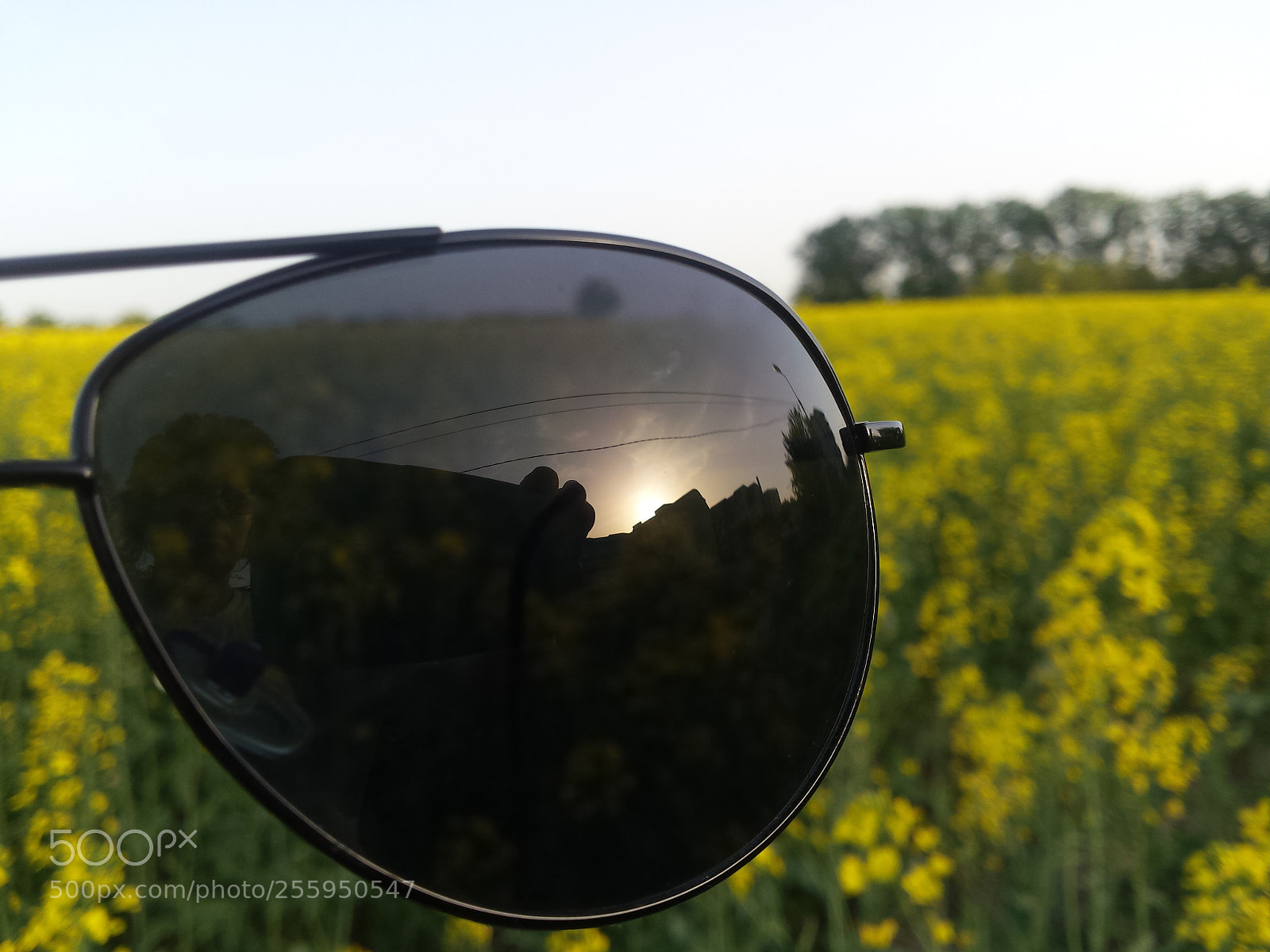 Samsung Galaxy S4 sample photo. Untitled photography