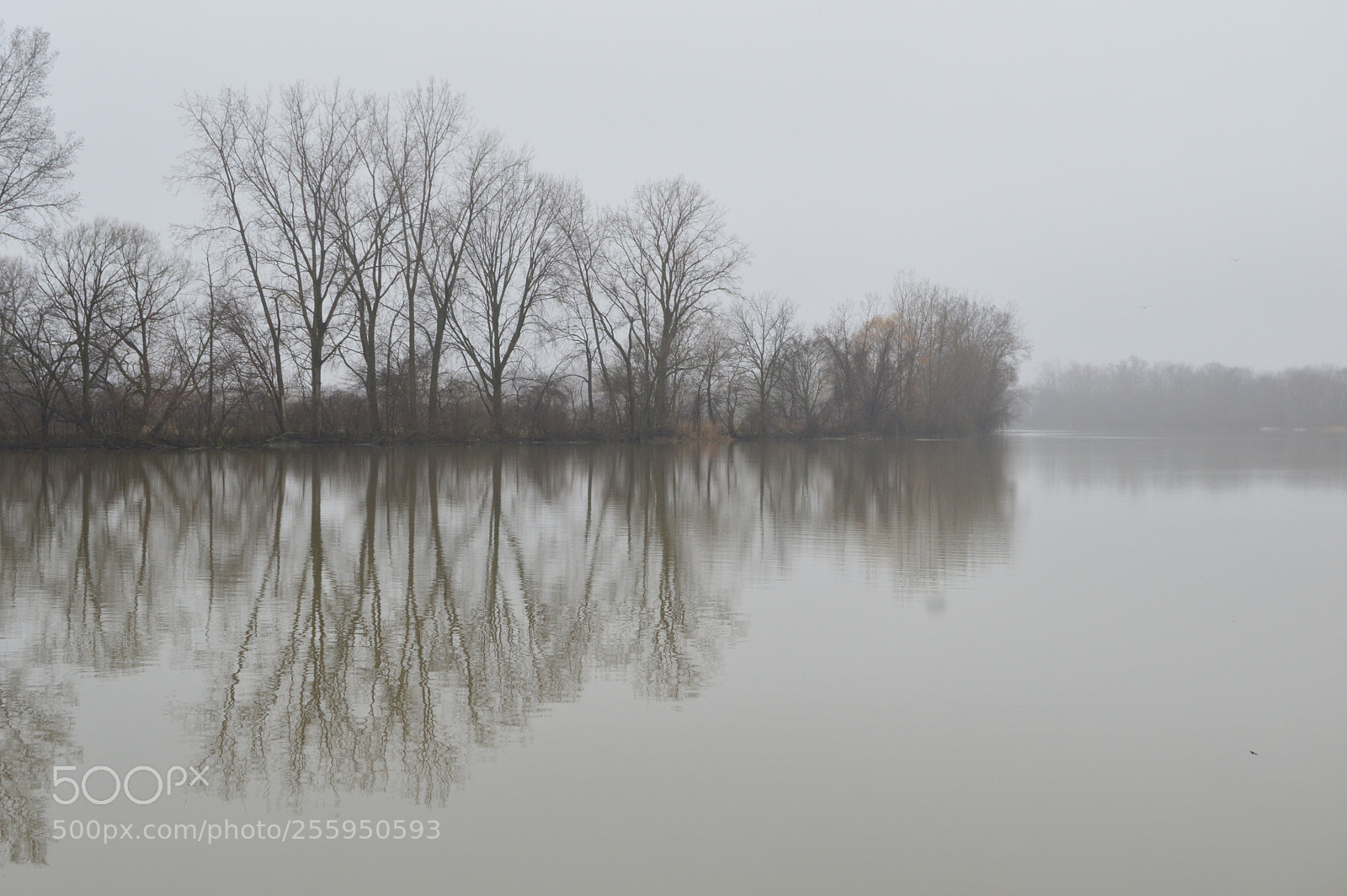 Nikon D3200 sample photo. Foggy reflection photography