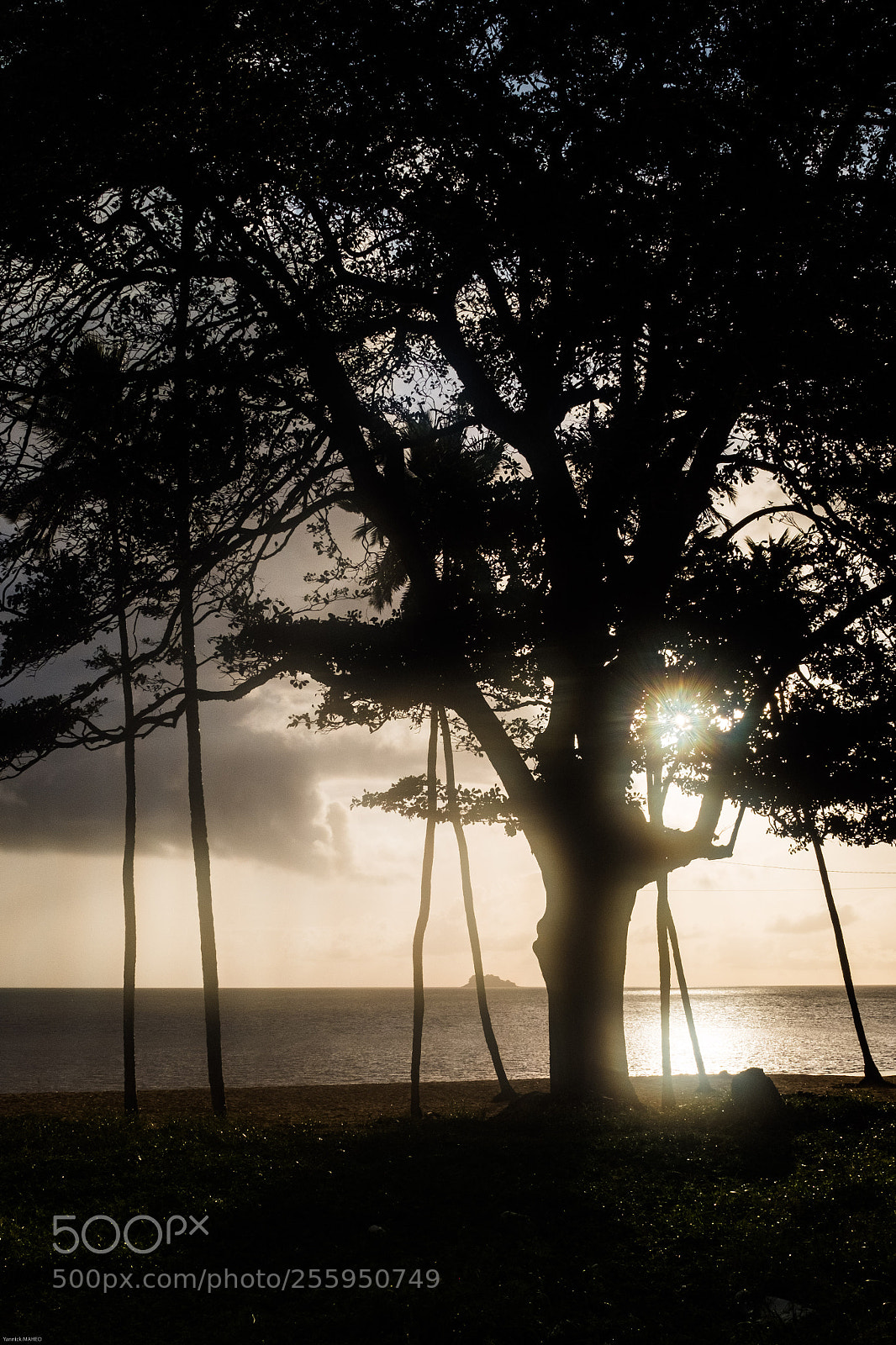Fujifilm X100F sample photo. Sunrise montabo photography