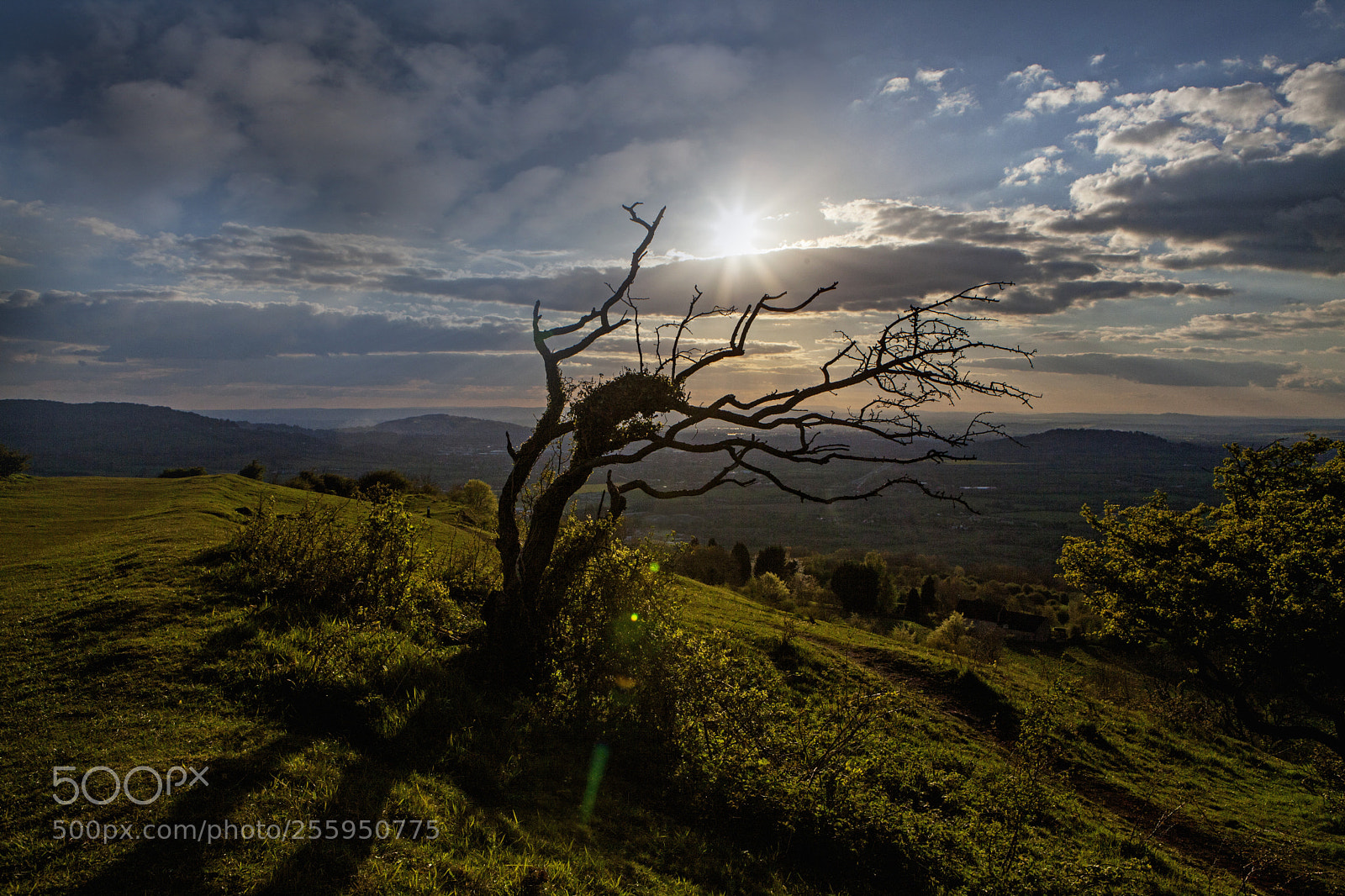 Canon EOS 5D Mark II sample photo. Spring sunset photography
