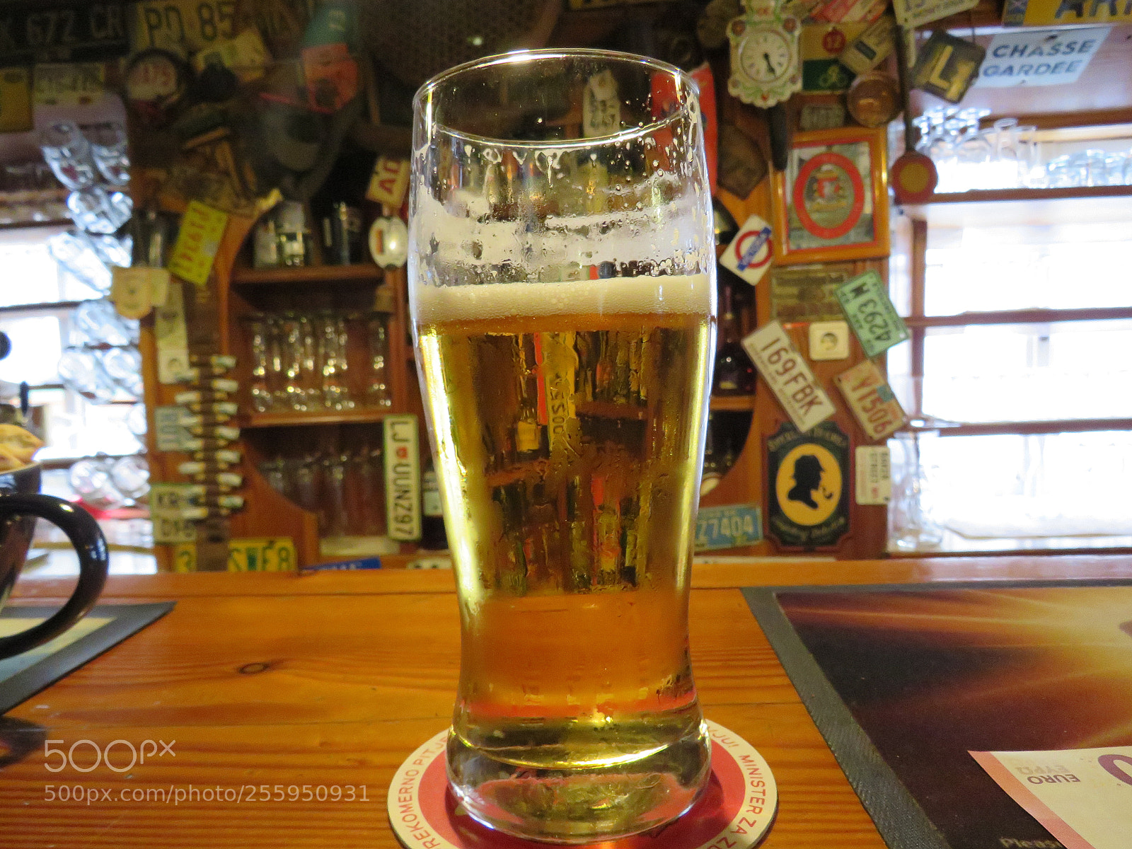 Canon PowerShot SX540 HS sample photo. Pivo photography