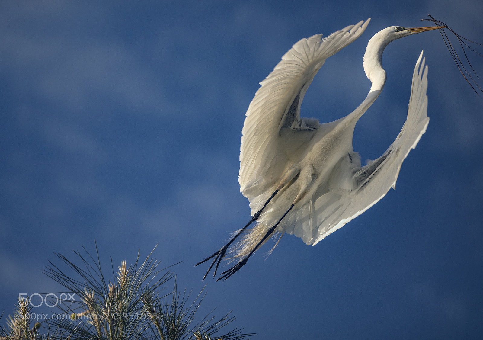 Canon EOS 5D Mark IV sample photo. Early morning take off photography
