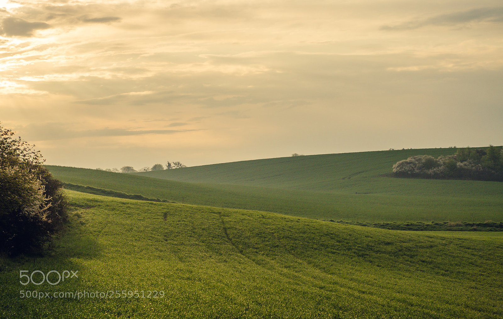 Nikon D7000 sample photo. Sapuny landscape morning photography