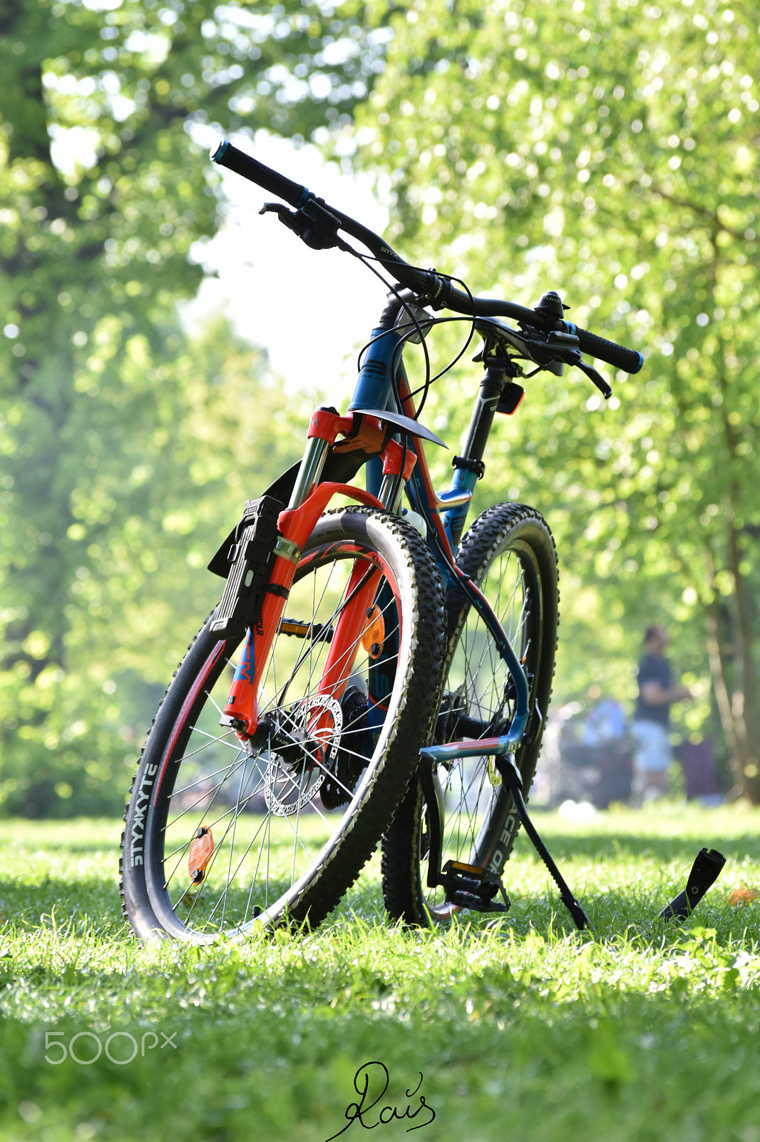 Nikon D5500 sample photo. Bike in the parc photography