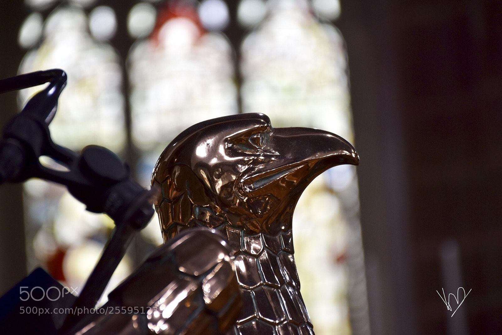 Nikon D5600 sample photo. Metal bird photography