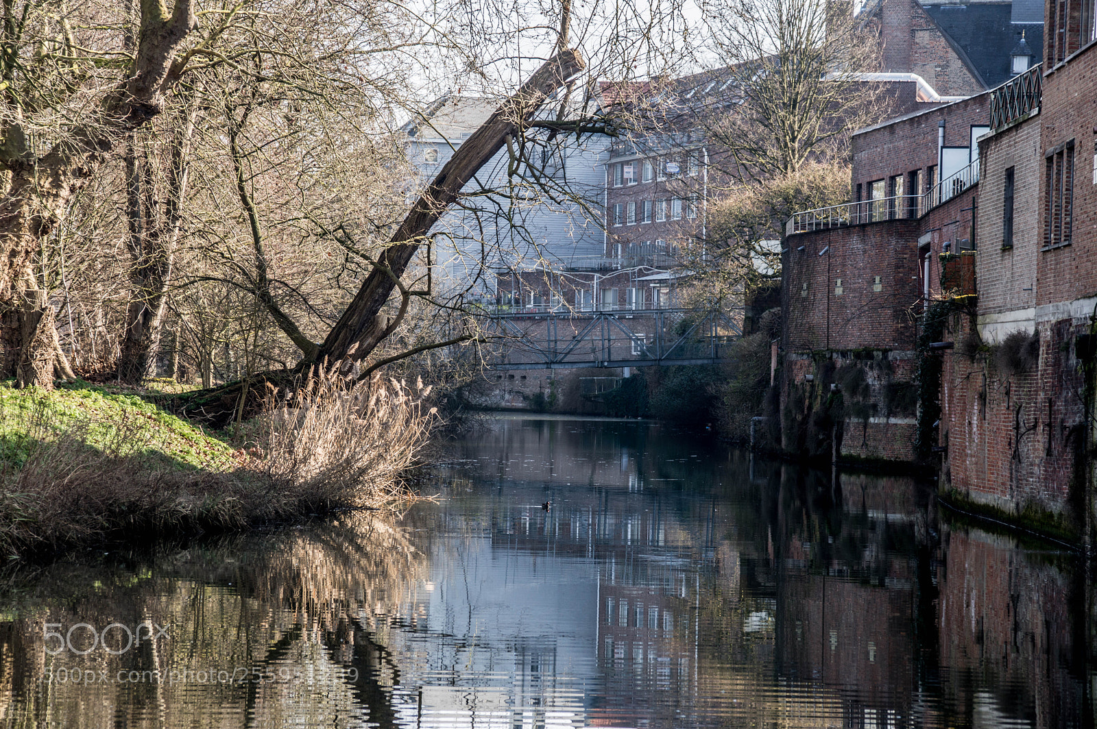 Nikon D3200 sample photo. Beautiful mechelen photography