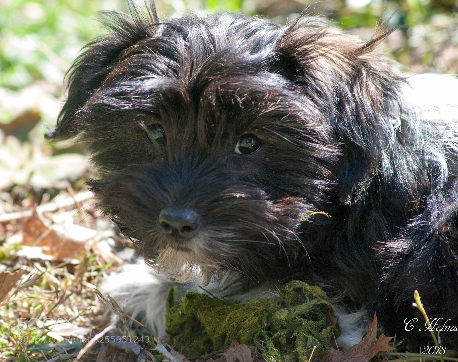 Nikon D200 sample photo. Roy sun bathing photography