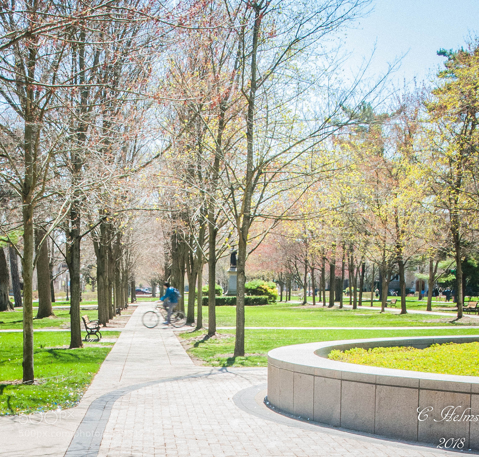 Nikon D200 sample photo. Left path photography