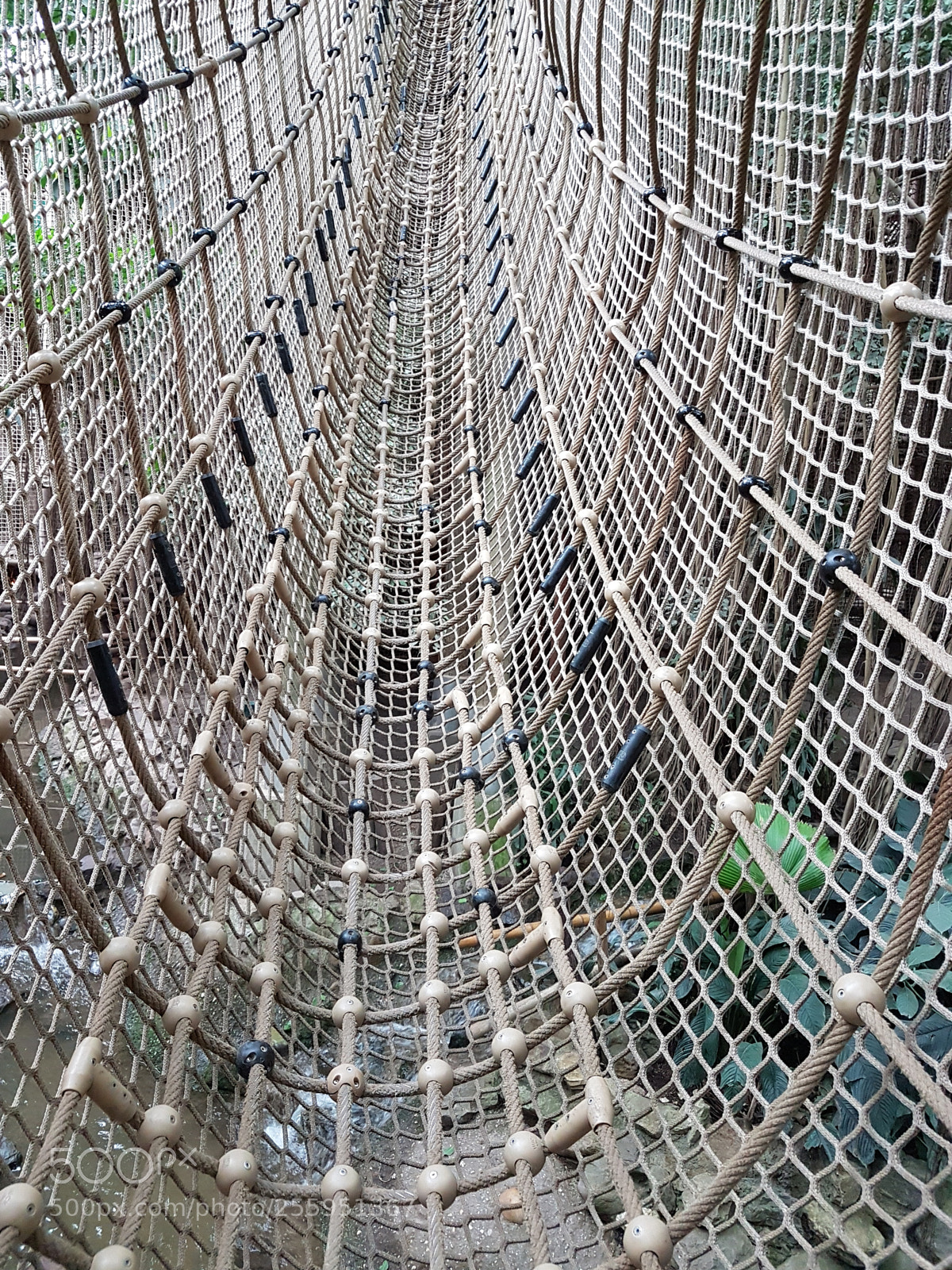 Samsung Galaxy S7 sample photo. Untitled photography