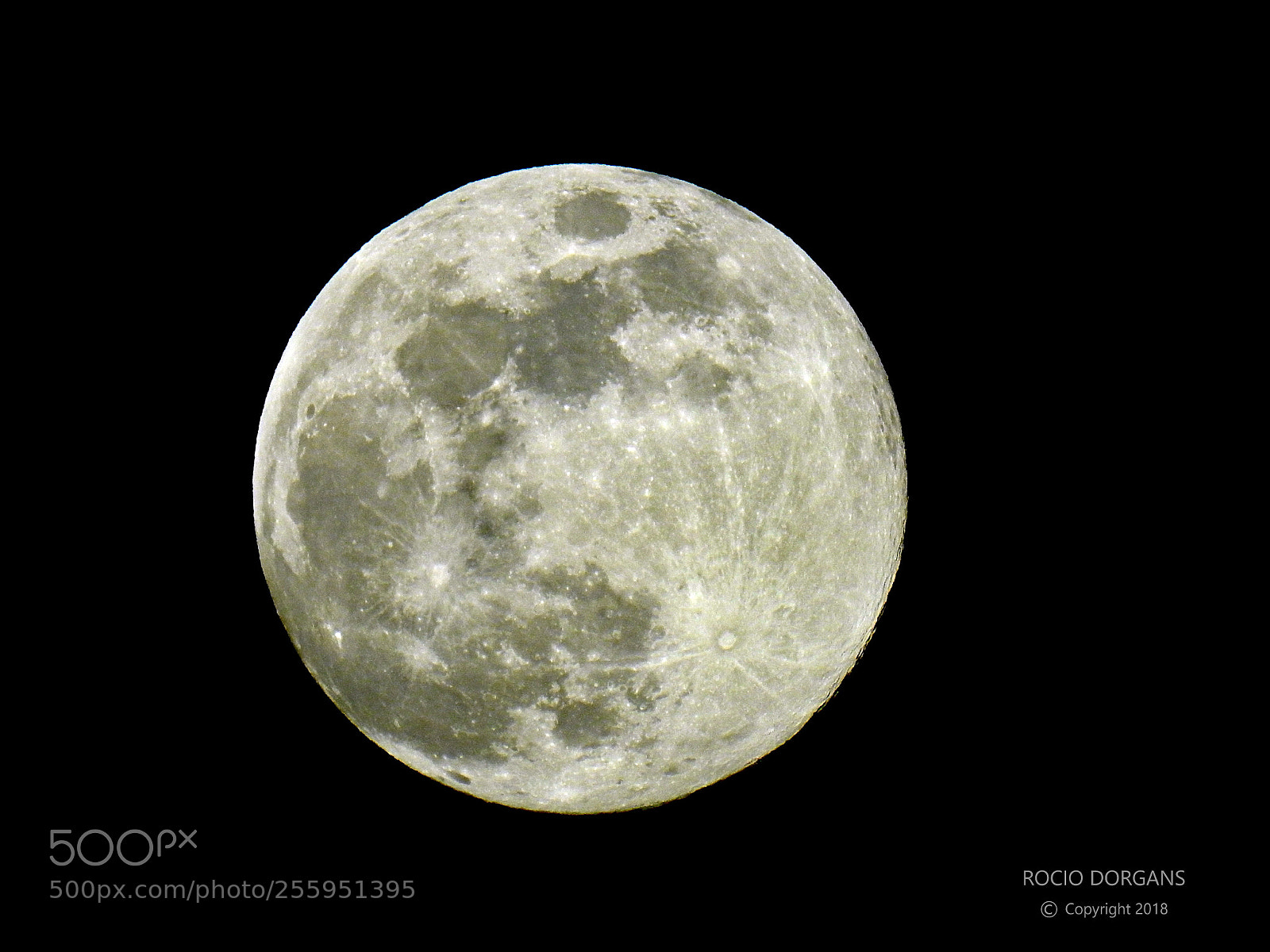 Nikon Coolpix P900 sample photo. Moon photography